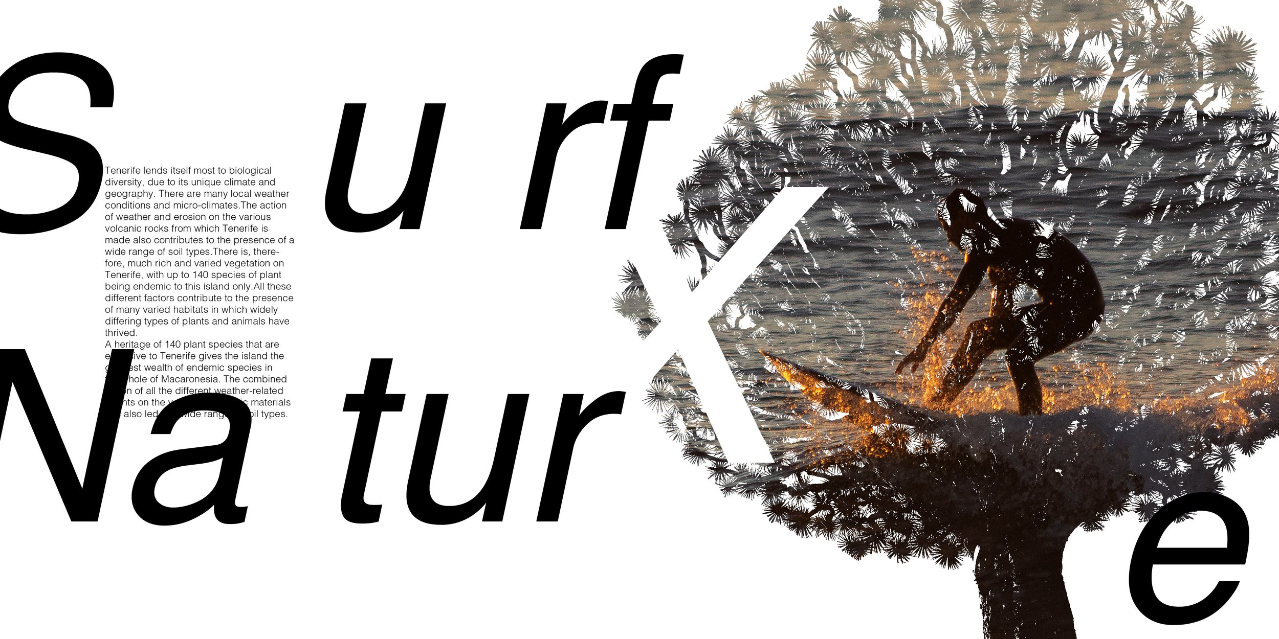 SURF BRAND BOOK4.jpg