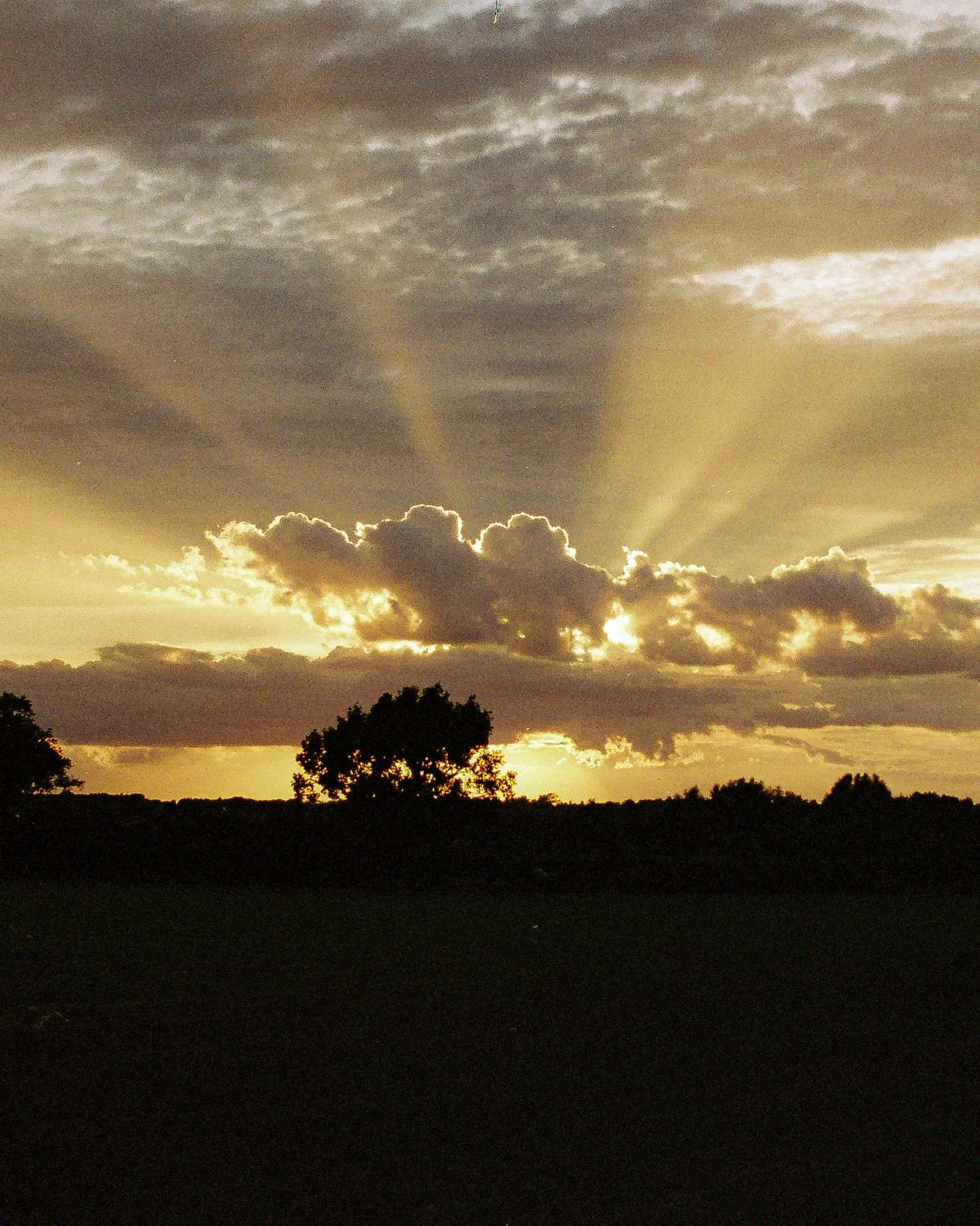 Some shots throughout 2025 taken on the film camera

Scanned and developed by the 🐐 @justshootfilmphotolab