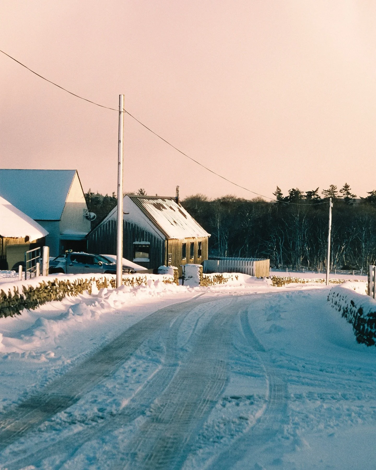 Cinestill in the snow