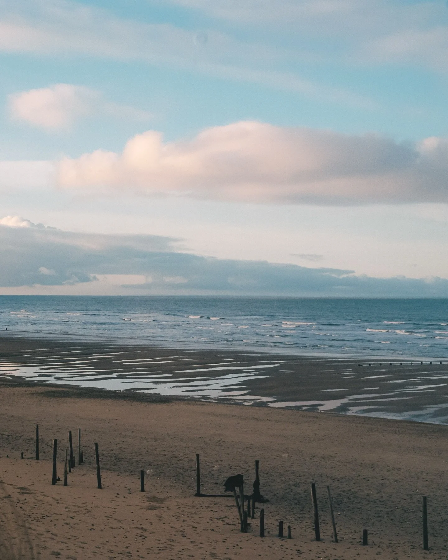 Some stills from the Norfolk coast in January

Developed by the best @justshootfilmphotolab