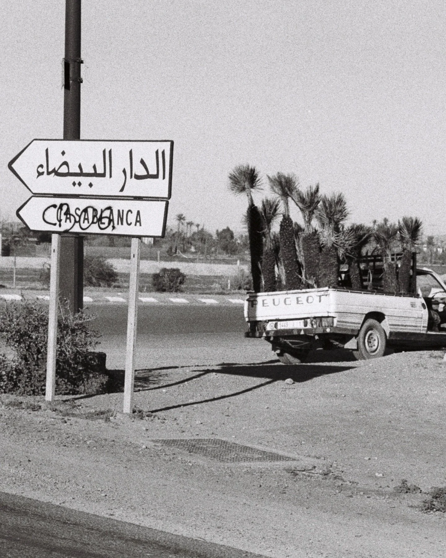 Some shots from Morocco taken out of a car window on HP5 film