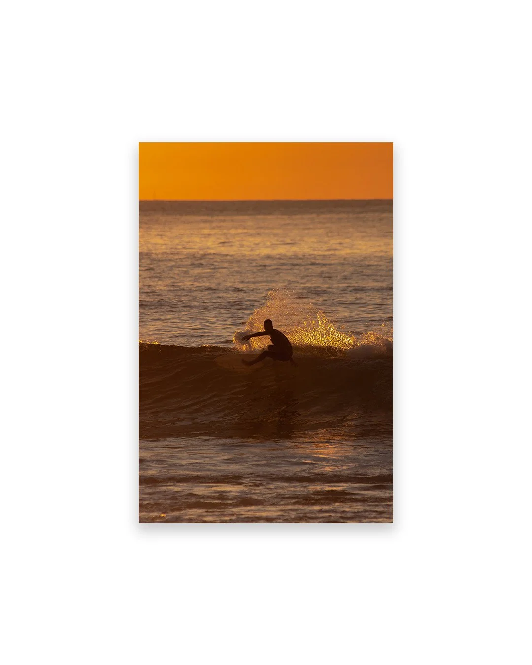 Surfing Gold.jpg