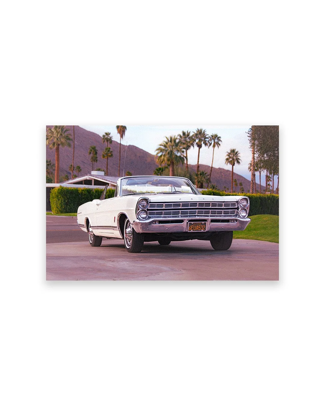 Driveway Dreams copy.jpg