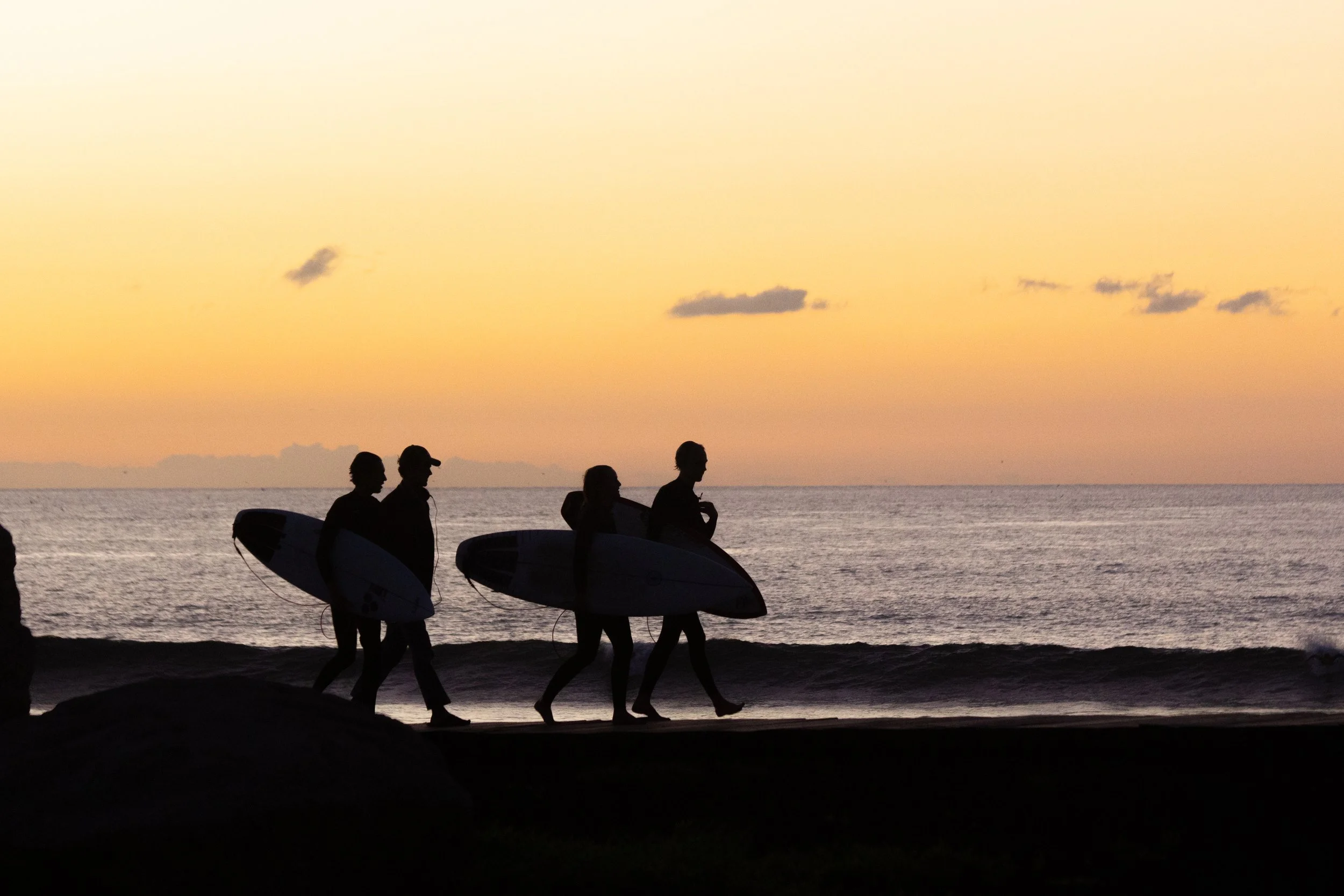 Surfs Up1.jpg