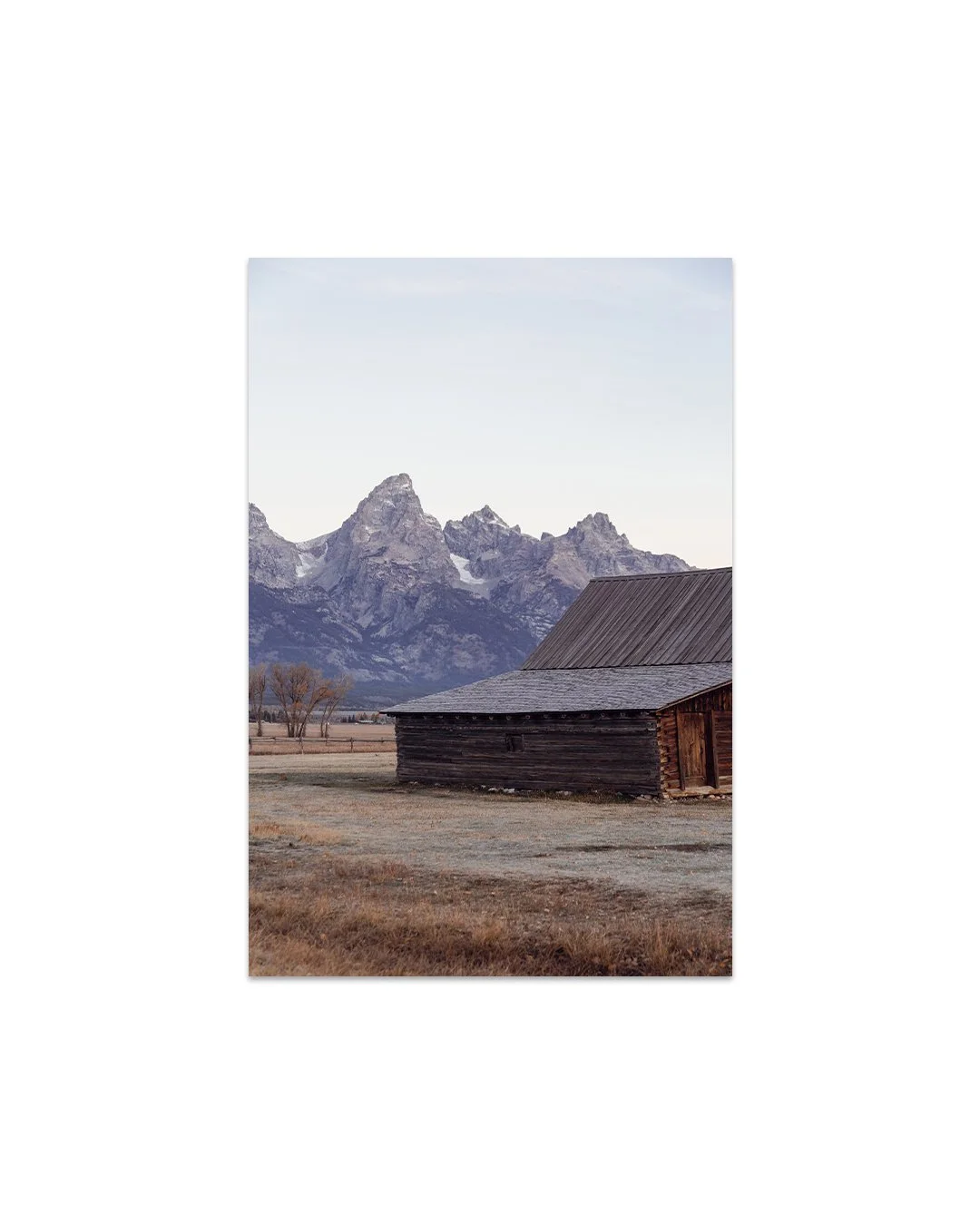 wy-5.jpg