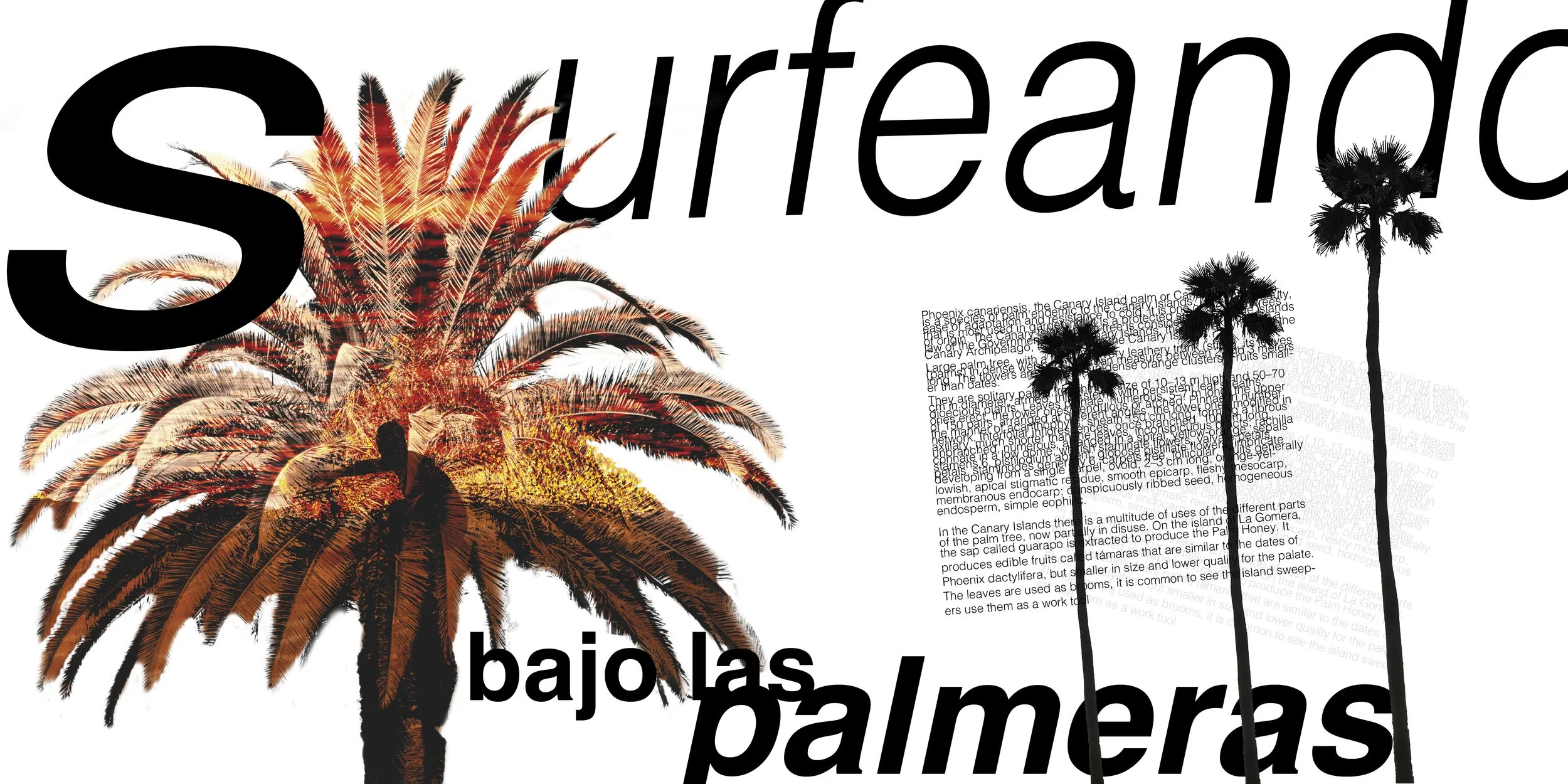 SURF BRAND BOOK8.jpg