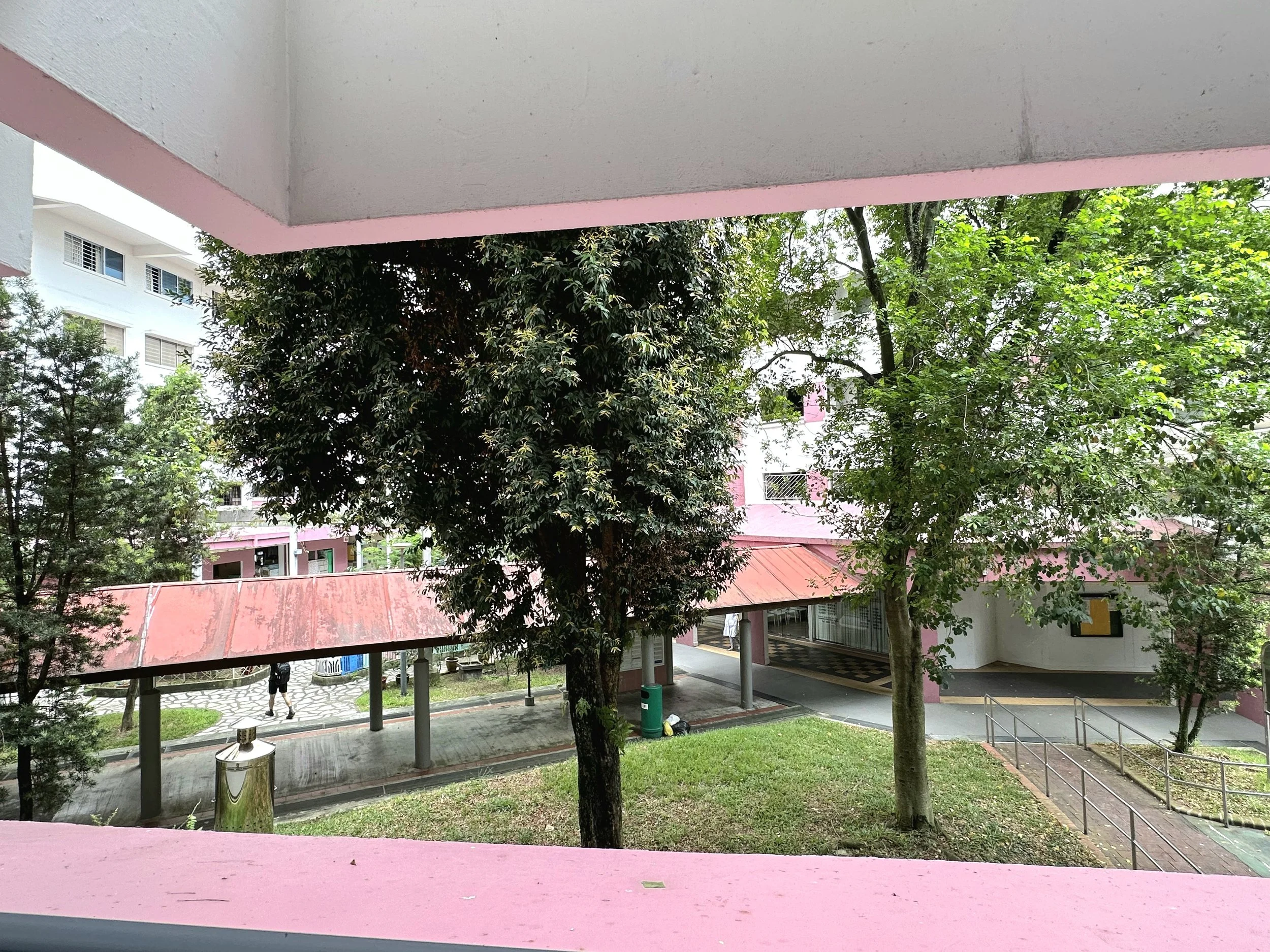 Greenery view (7).jpg