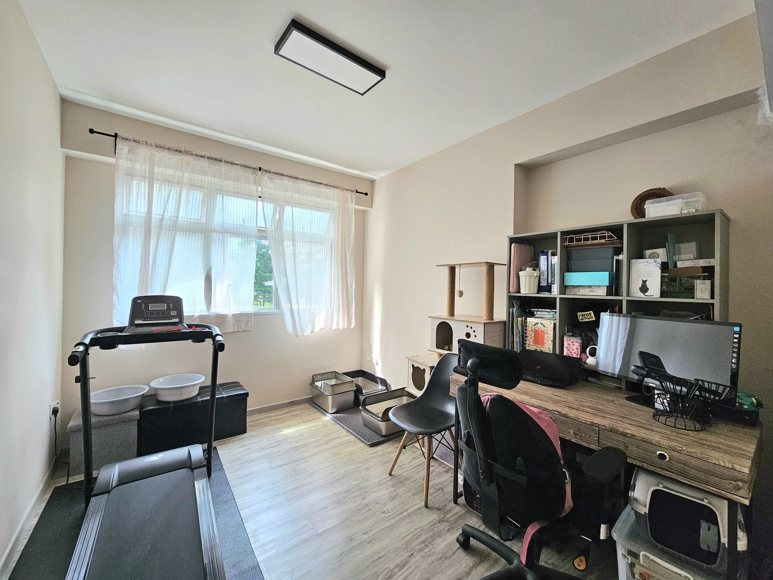 Common room 1 (8).jpg