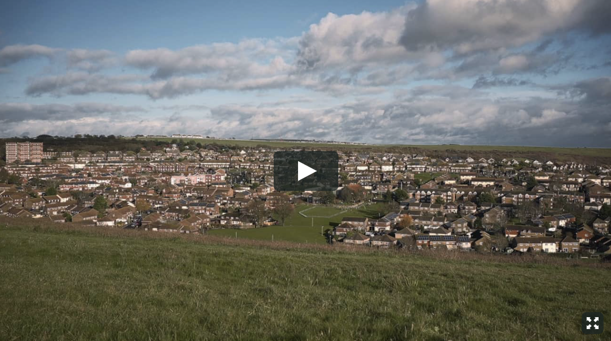 Whitehawk