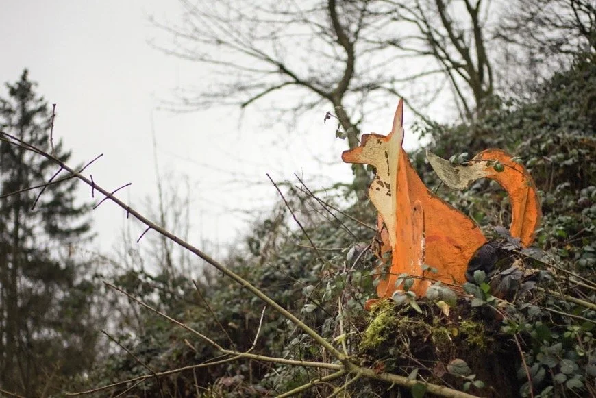 Unhappy Fox