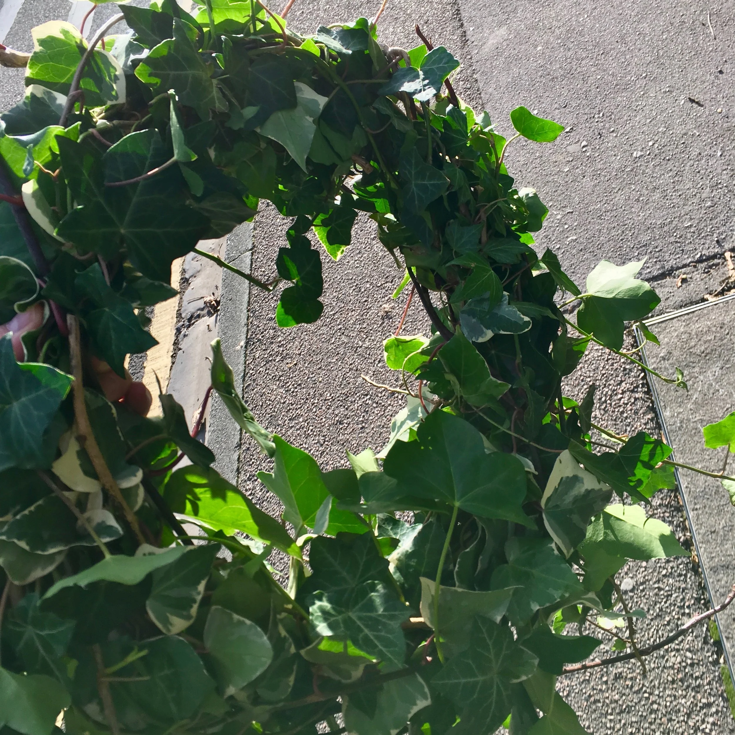 I made a wreath