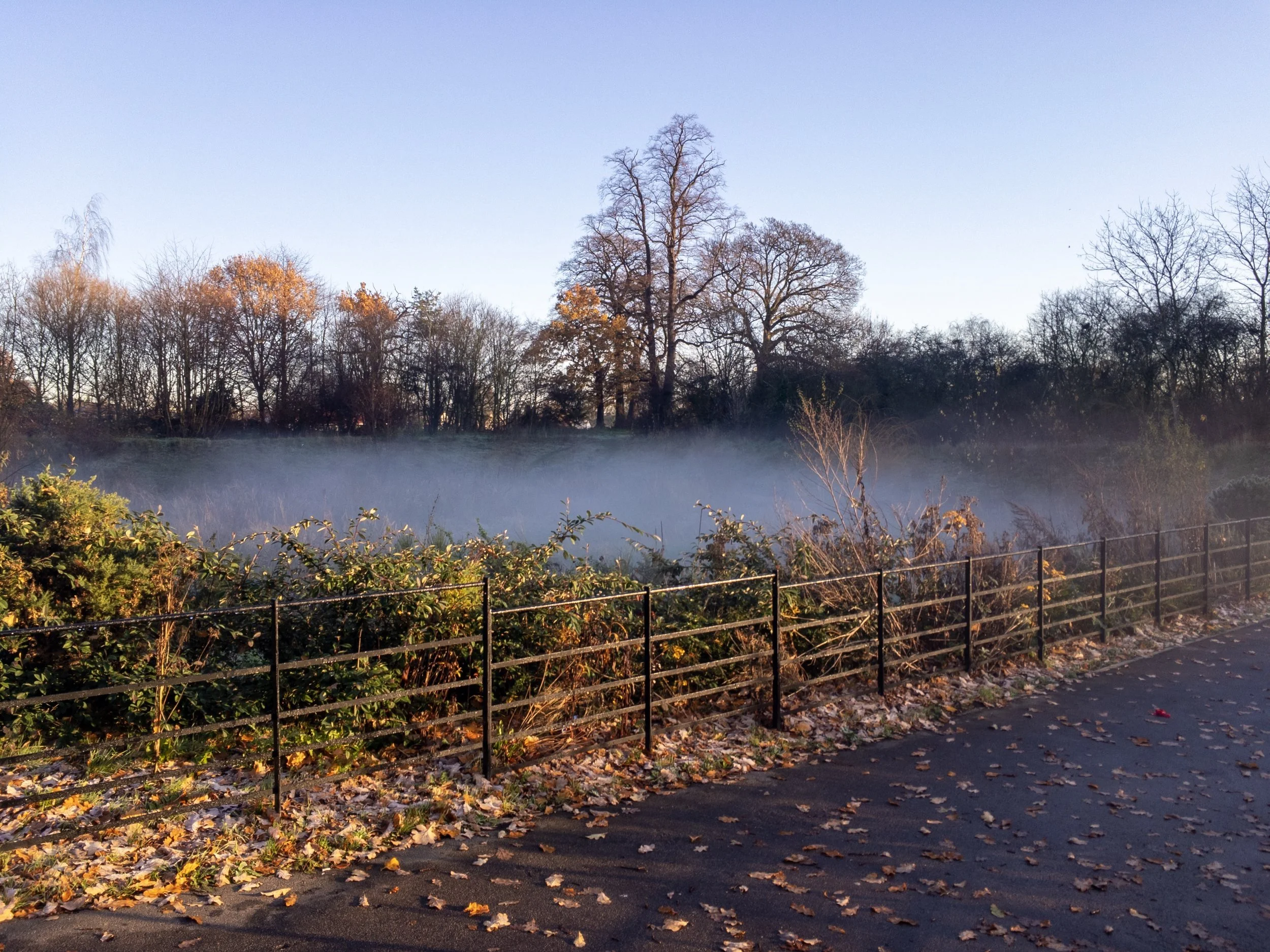 Early morning mist in Pymmes Park