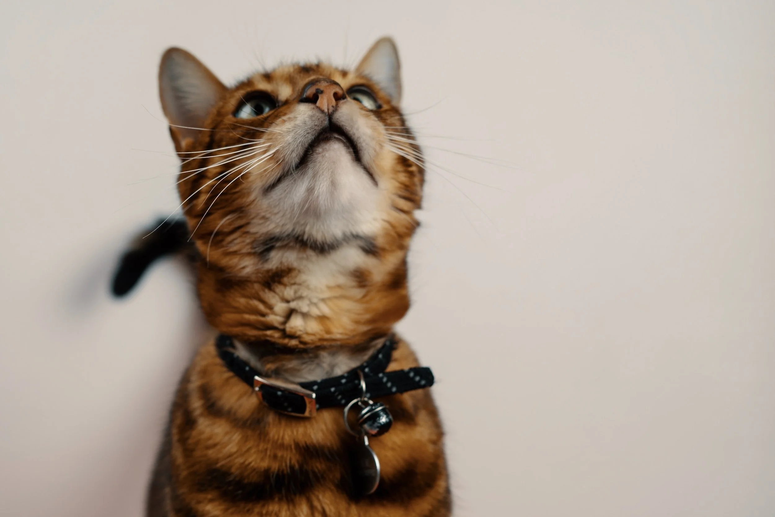 I’m meant to be photographing Emily’s work