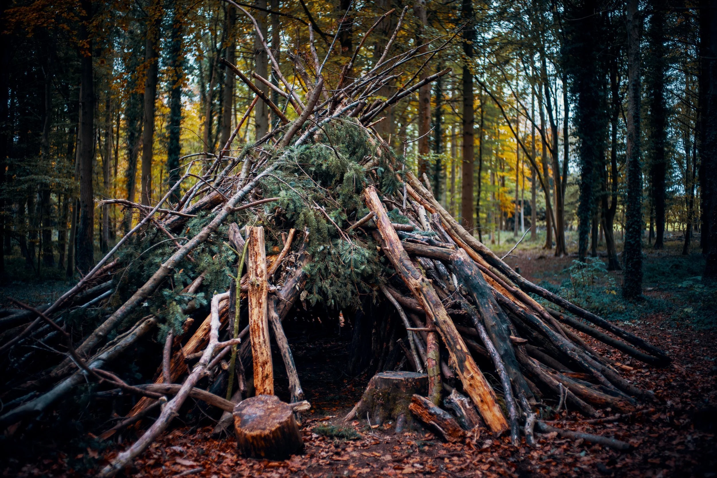 Shelter