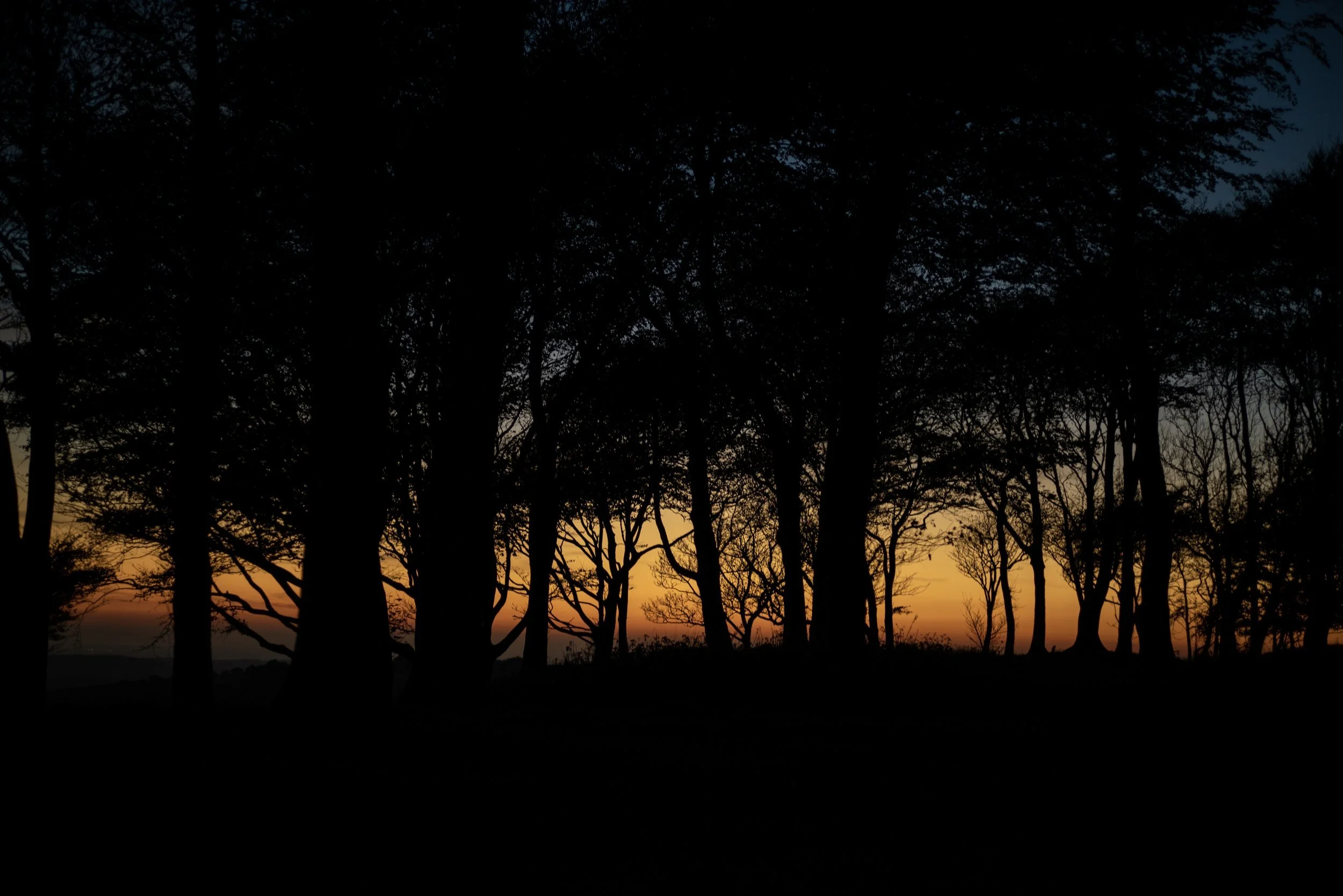 I couldn’t be happier