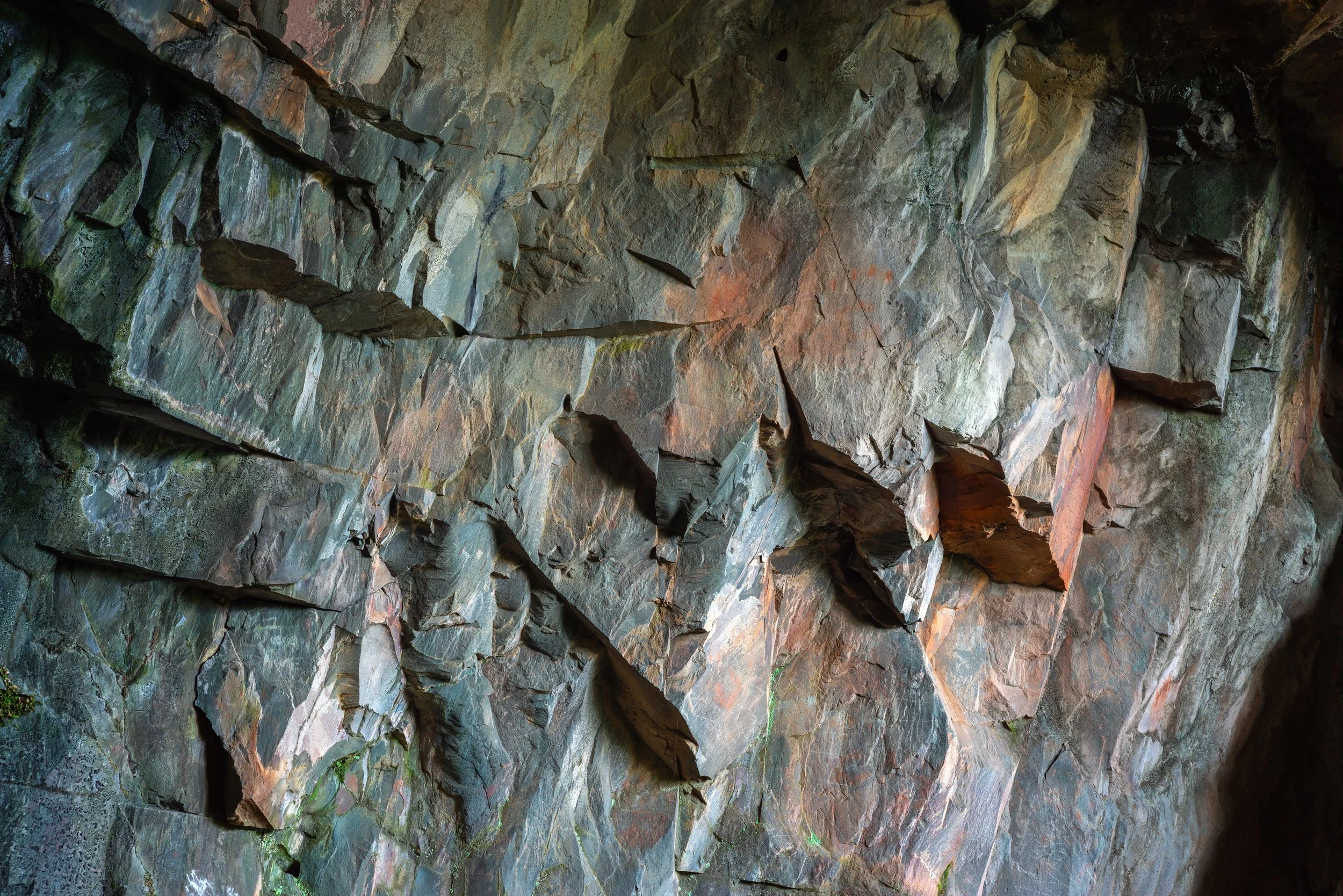 Cave dweller