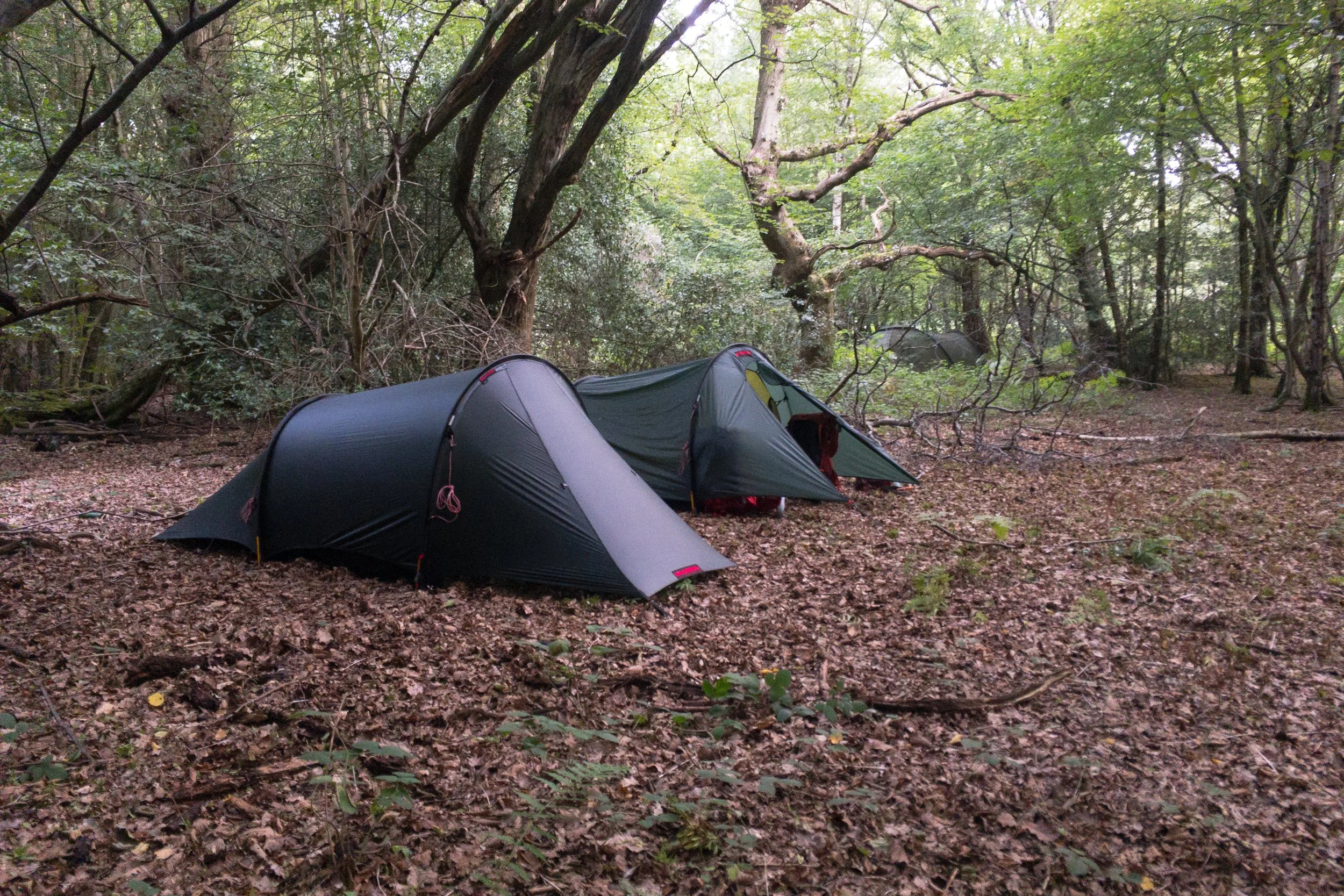 Quick local wild camp