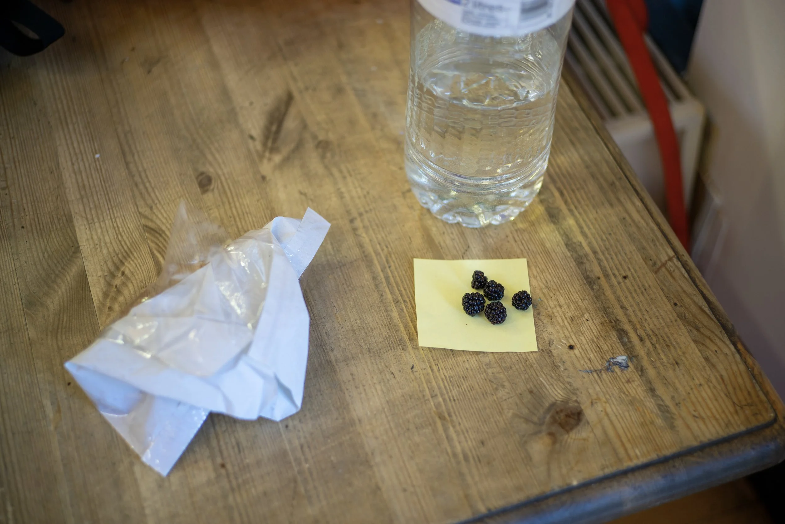 Someone picked and left these behind