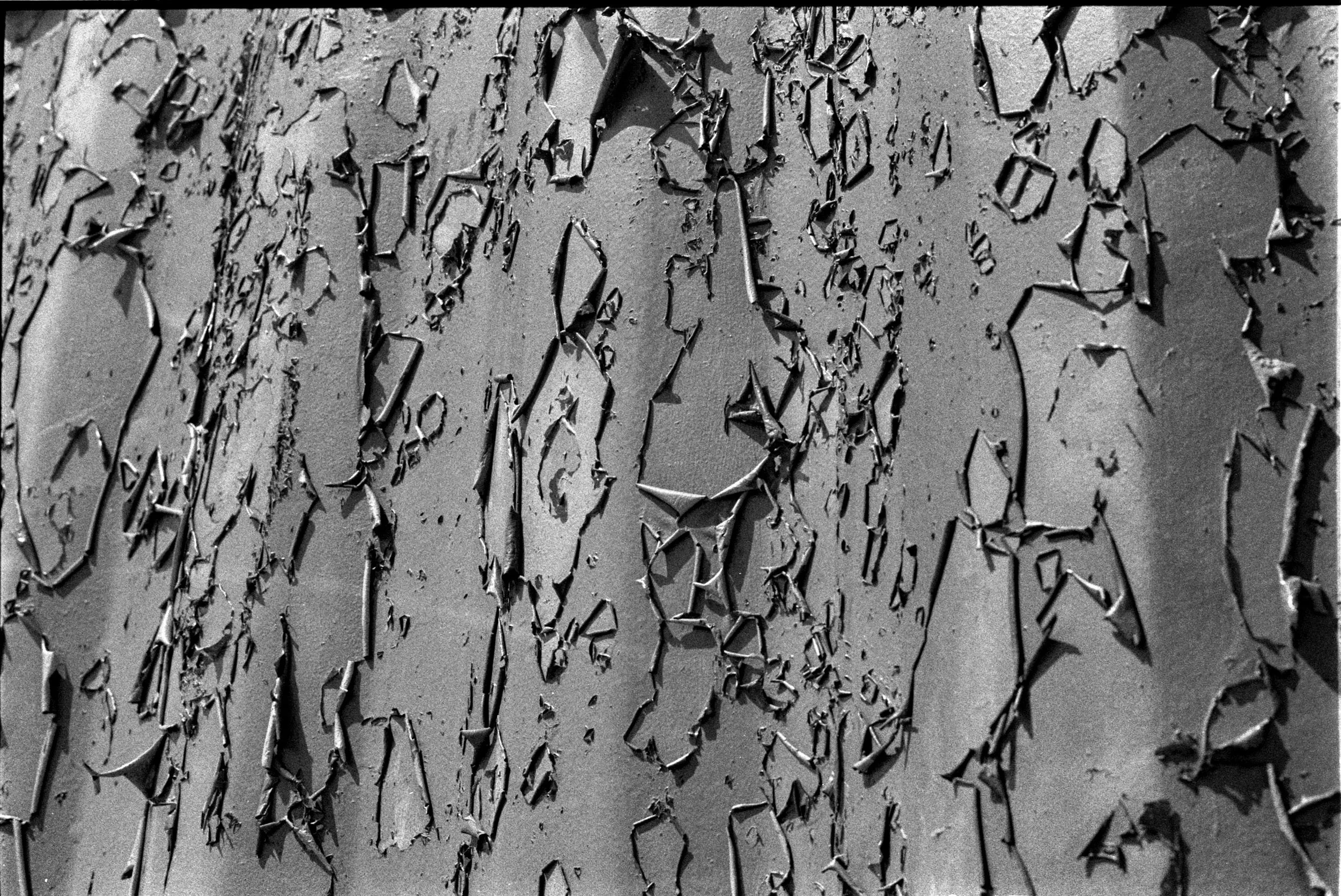 Decorating is happening