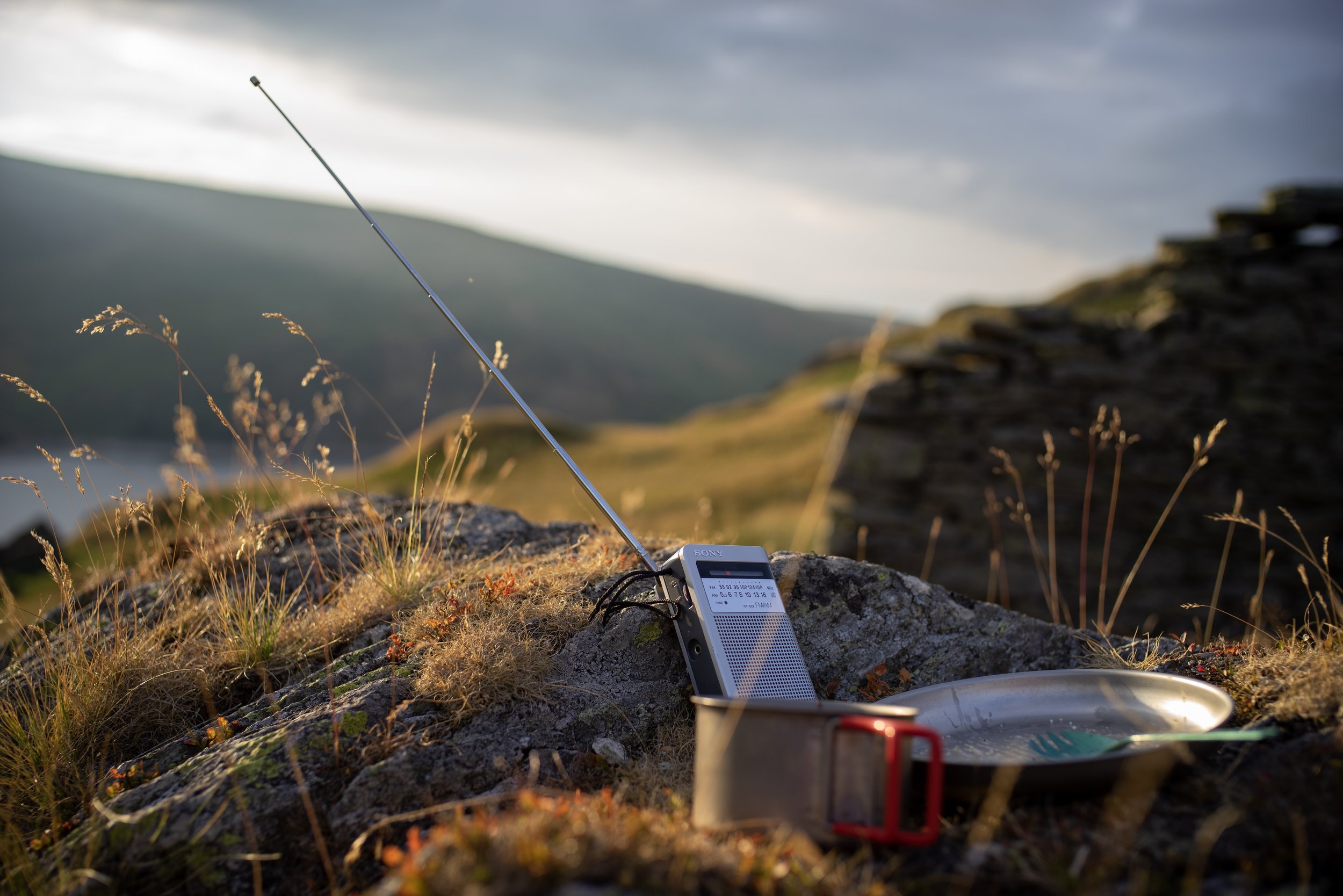 Listening to the game