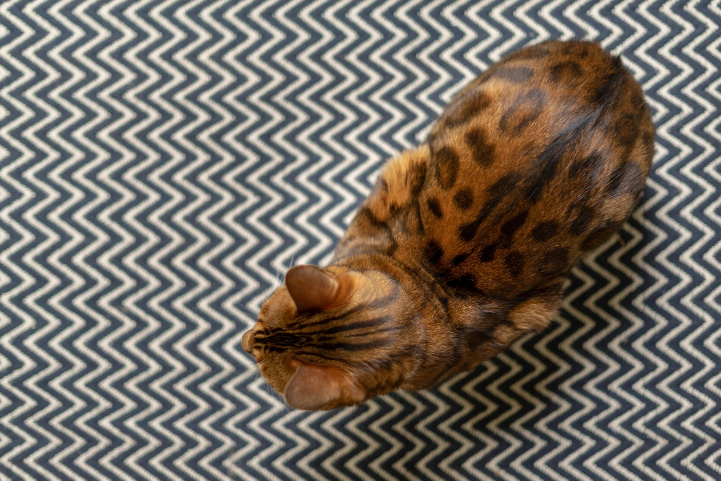 All the patterns