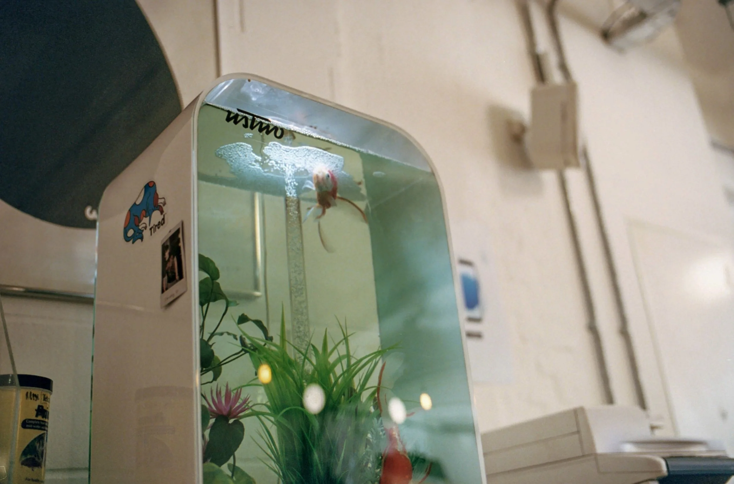 This time last year-usTwo