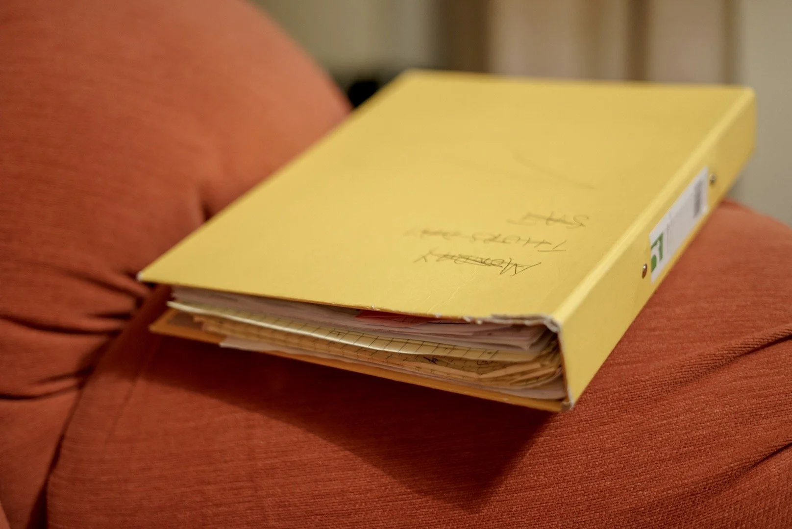 Nan’s medical notes