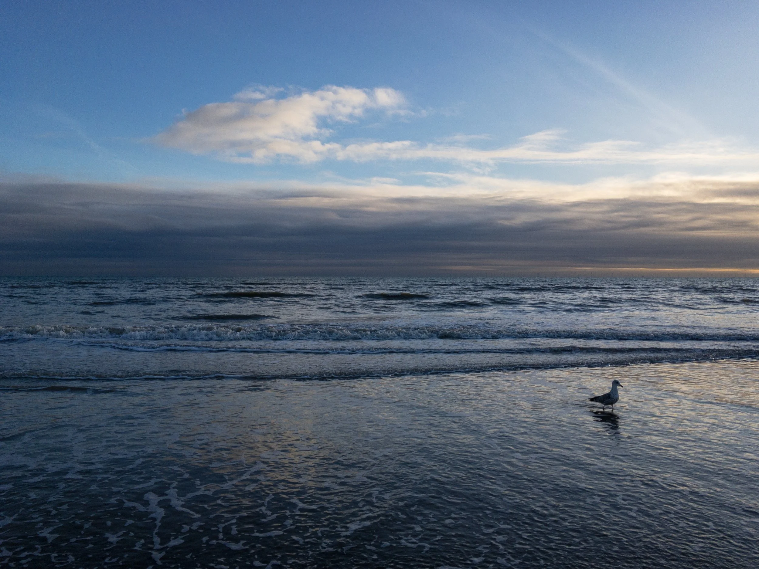 Made time for a walk on the beach today