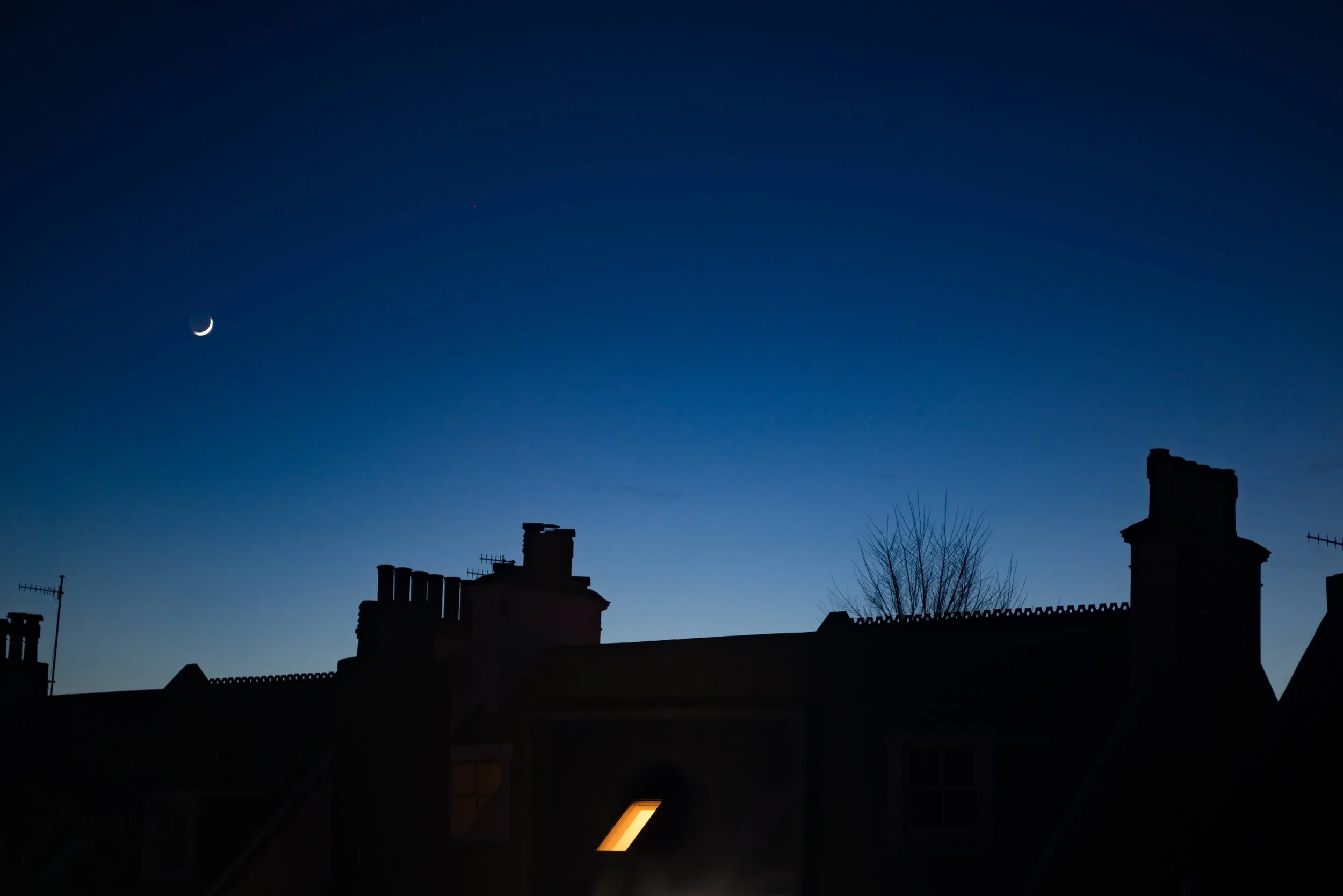 That was the most hectic week I've had in a long time