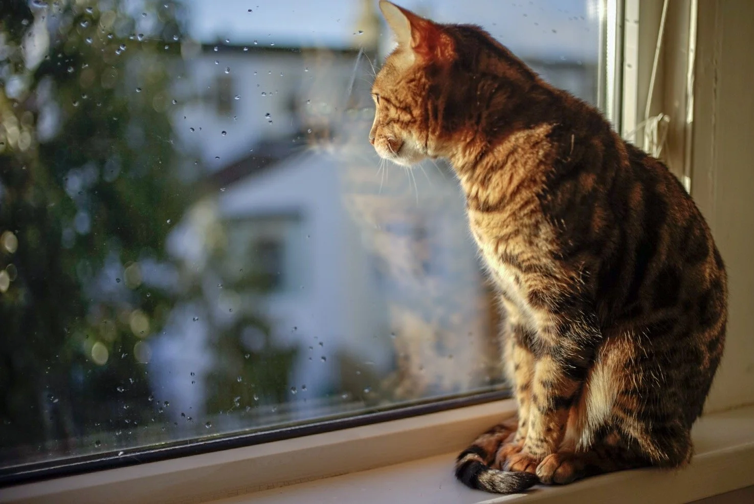 A brief moment of sunshine on the 1st January 2018