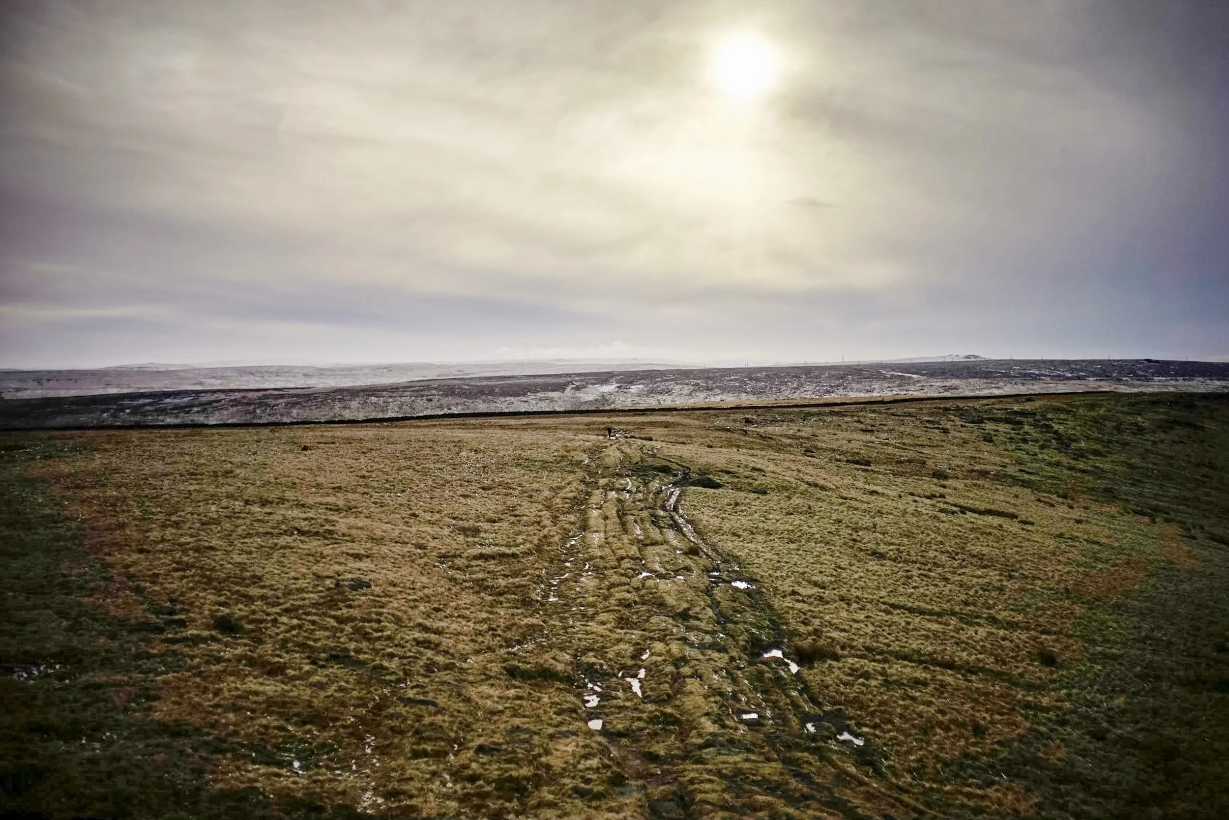 Highlight of the holidays