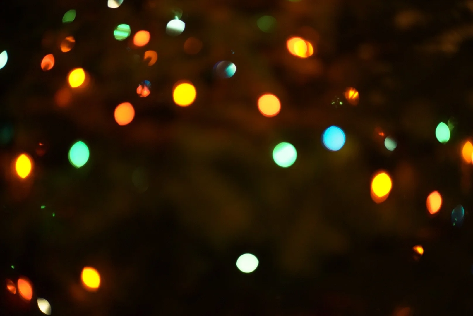 The tree is up and it smells good