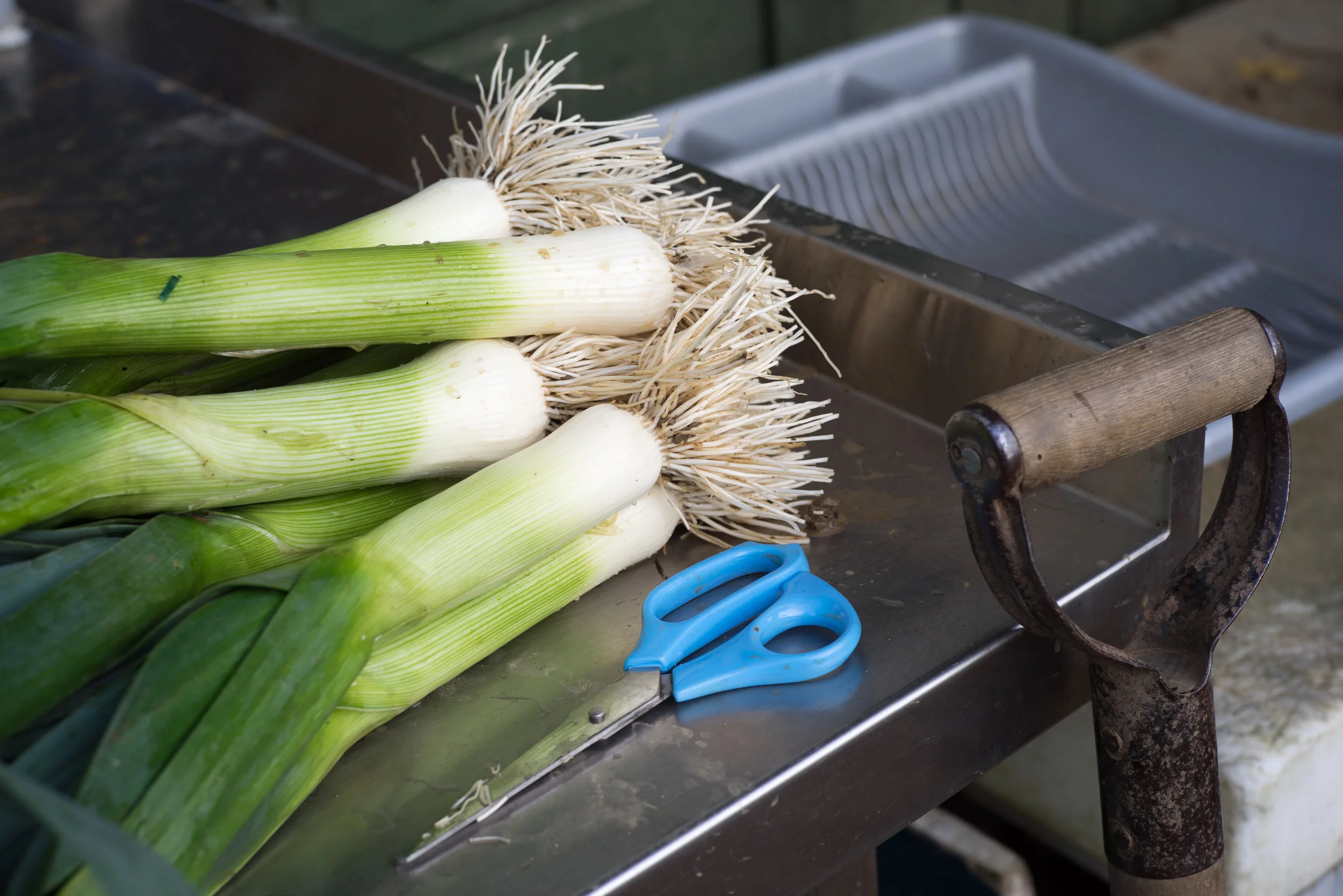 Spent the morning on a farm