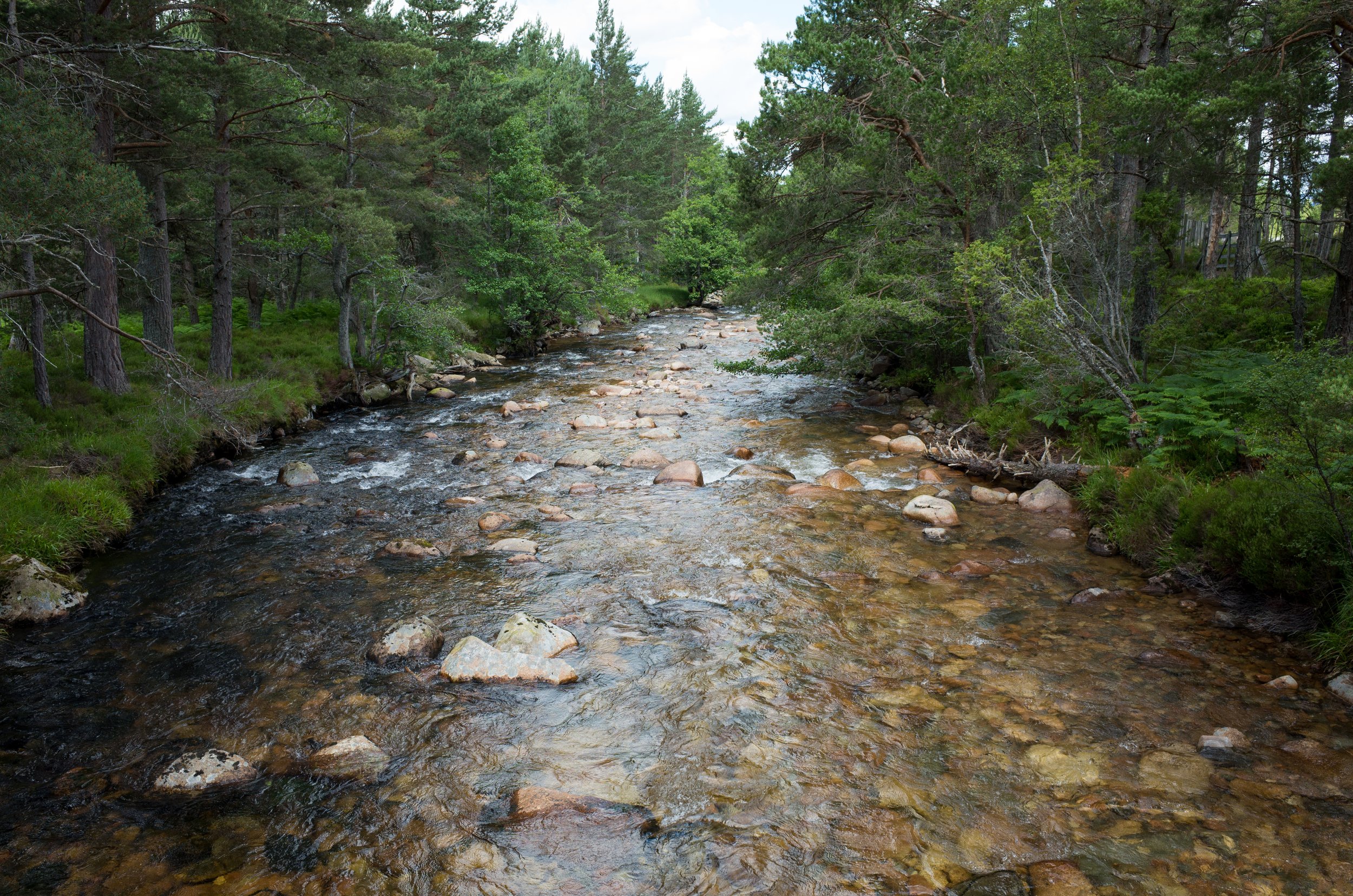 R0016713.jpg