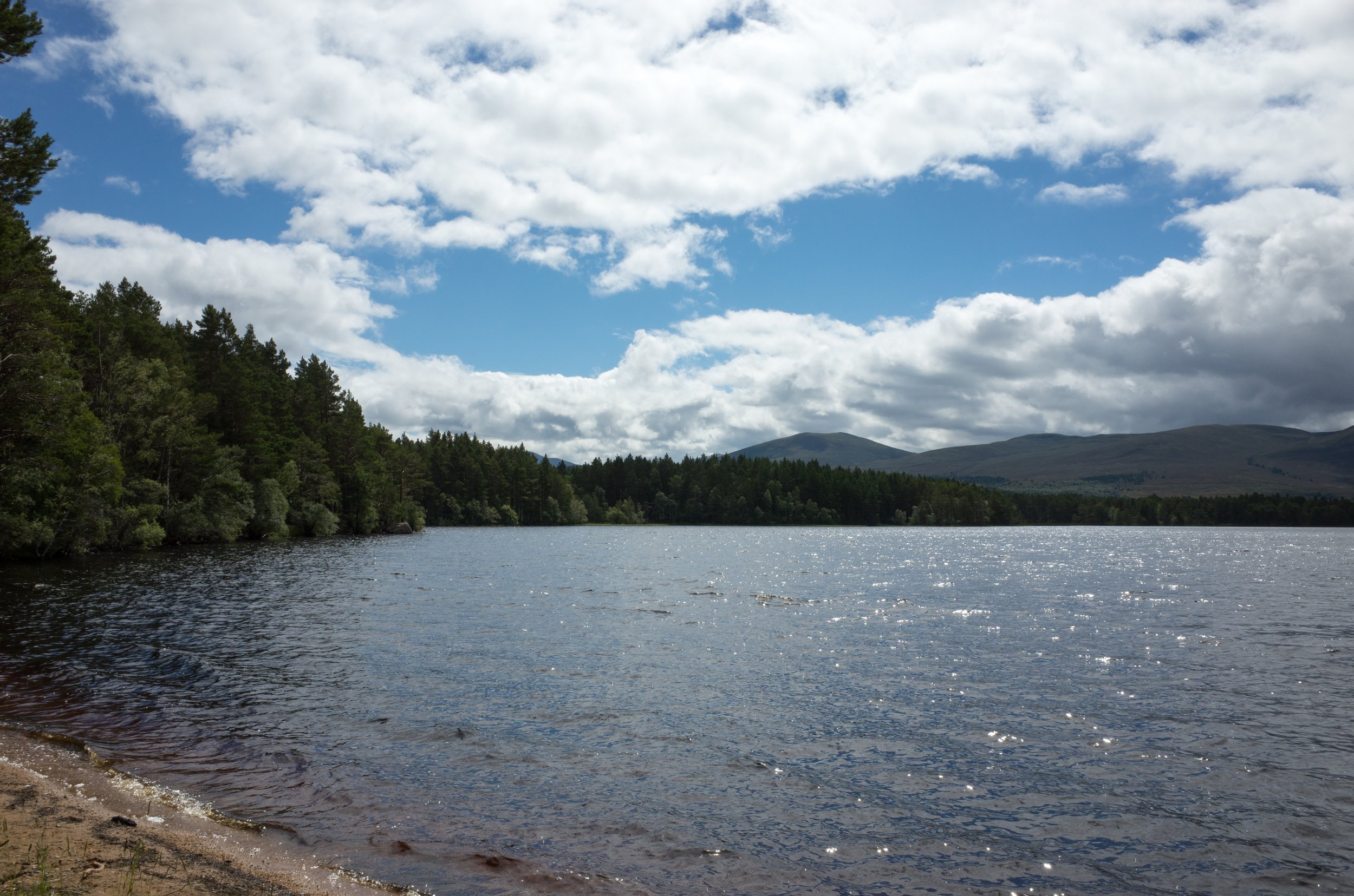 R0016866.jpg