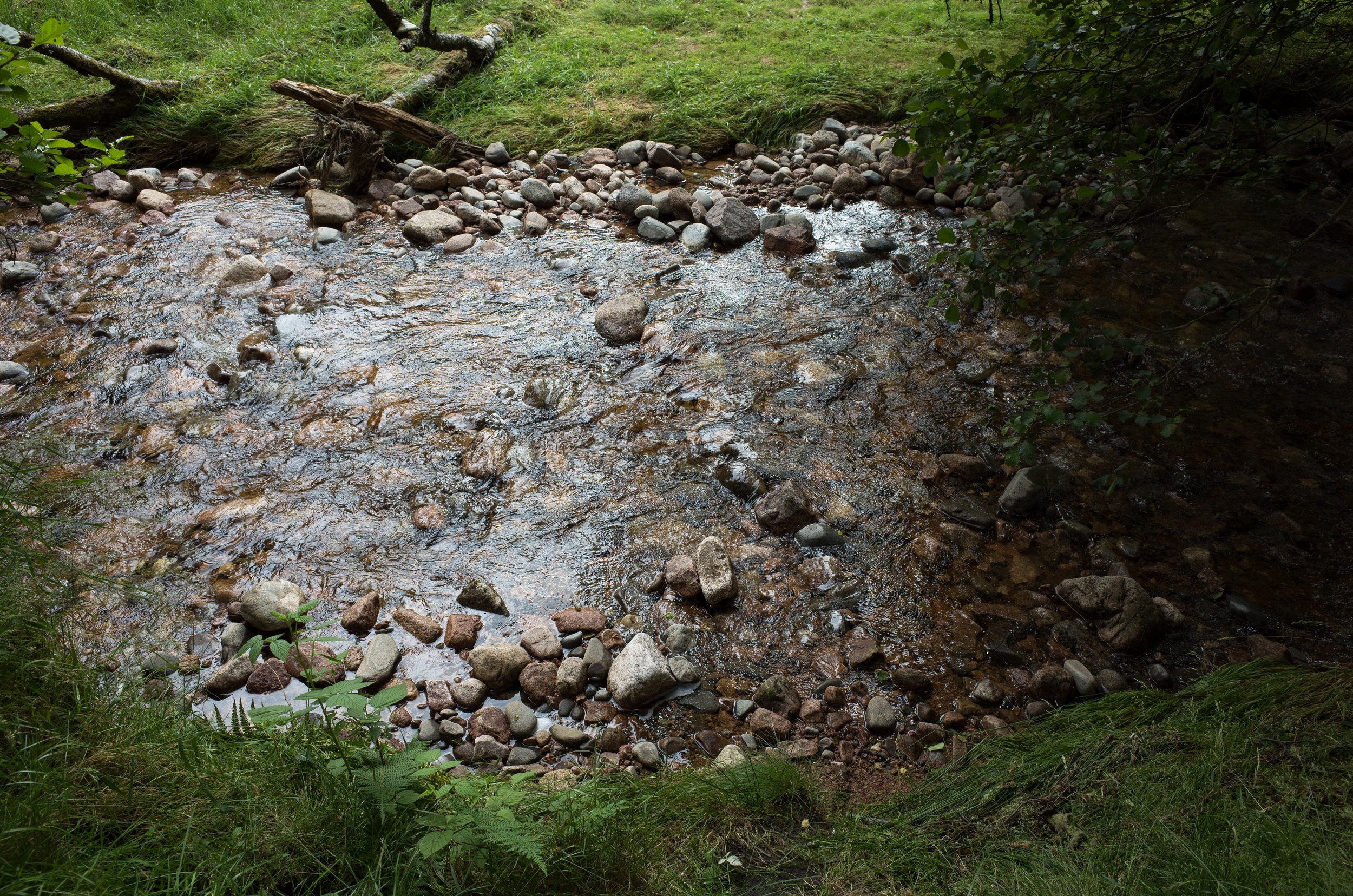 R0016872.jpg