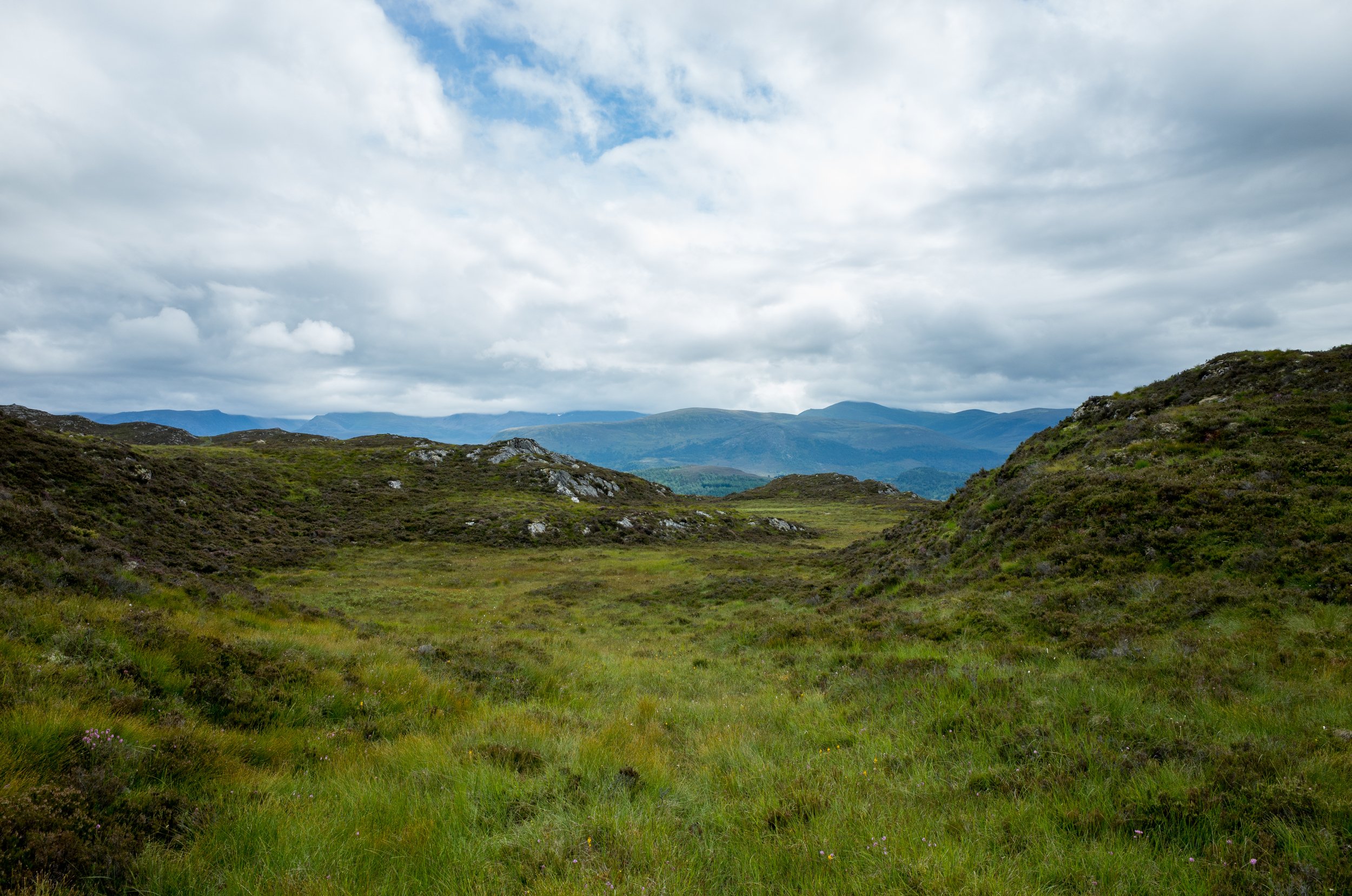 R0016880.jpg