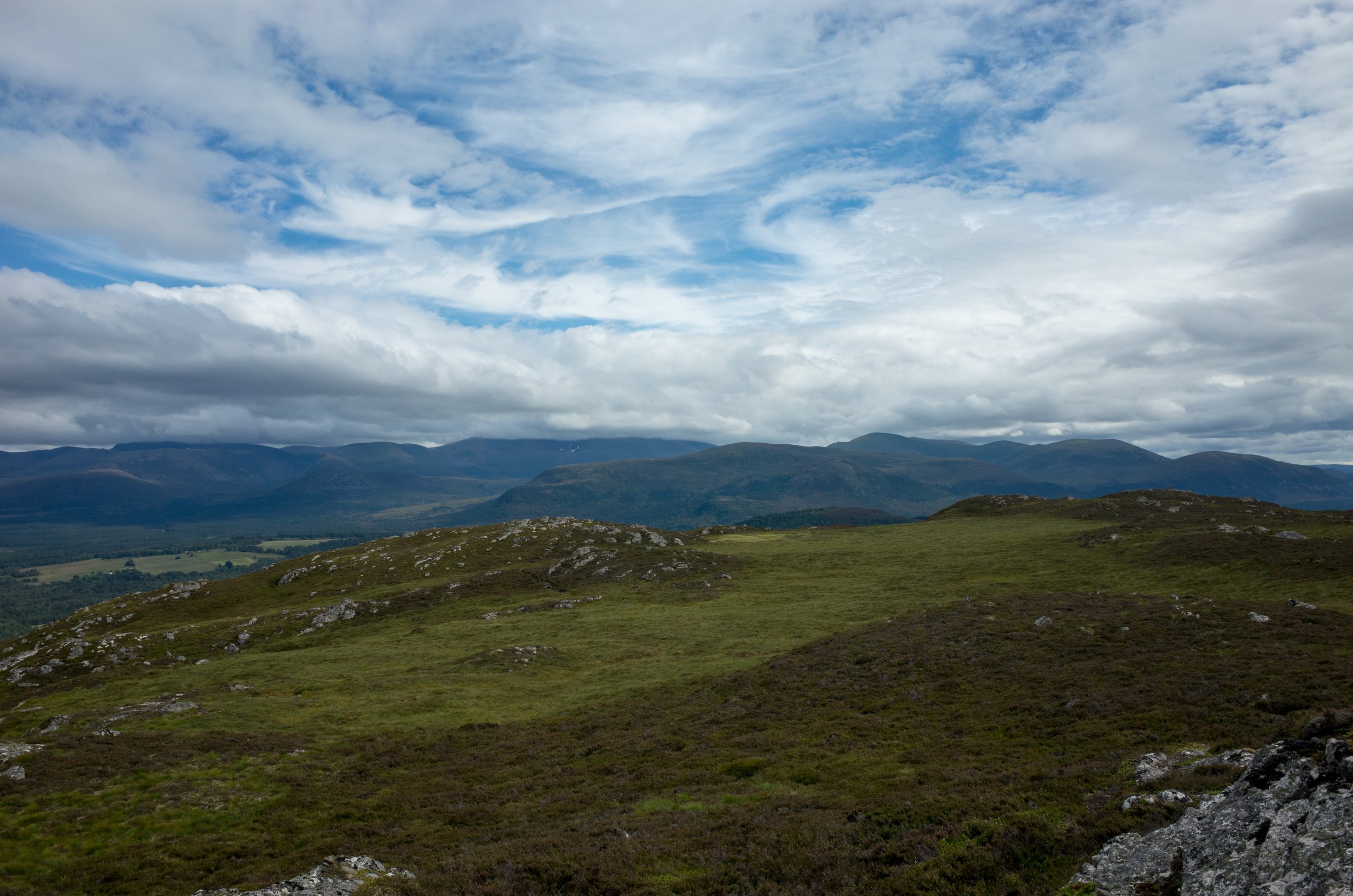 R0016889.jpg