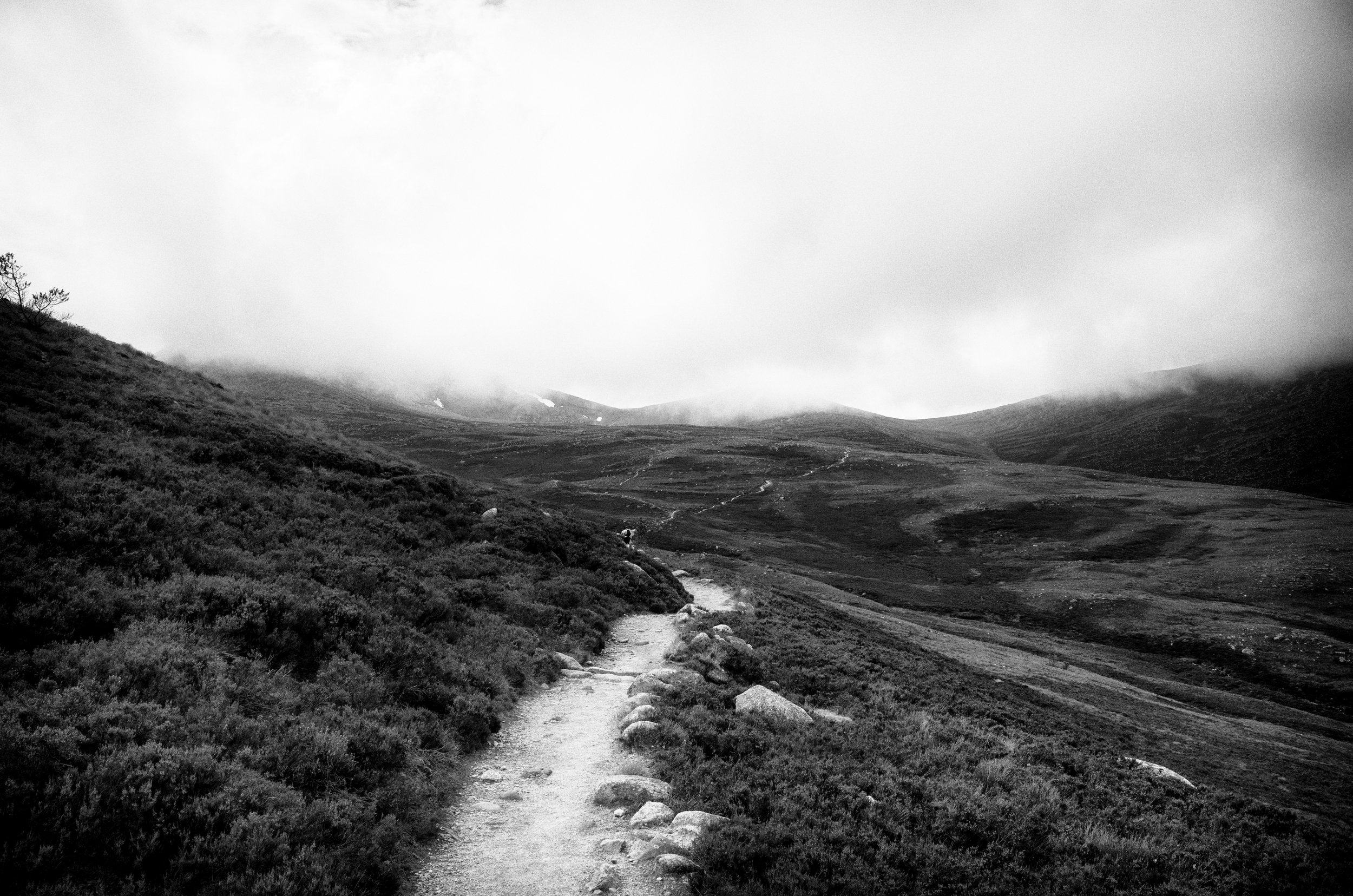 R0016896-Edit.jpg