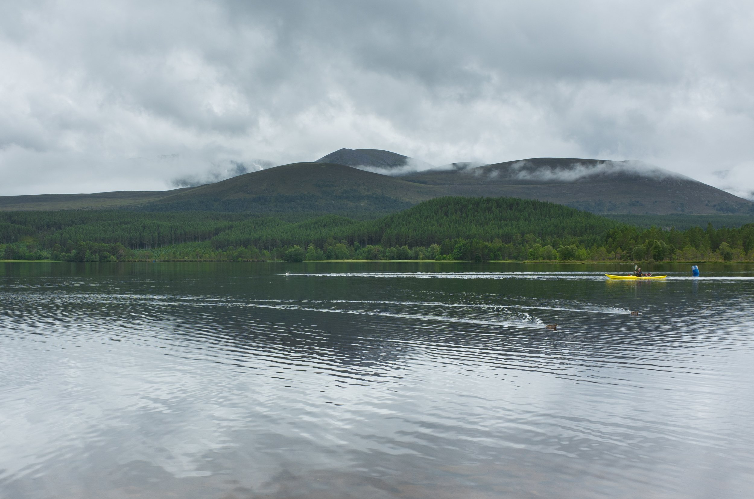 R0016991.jpg