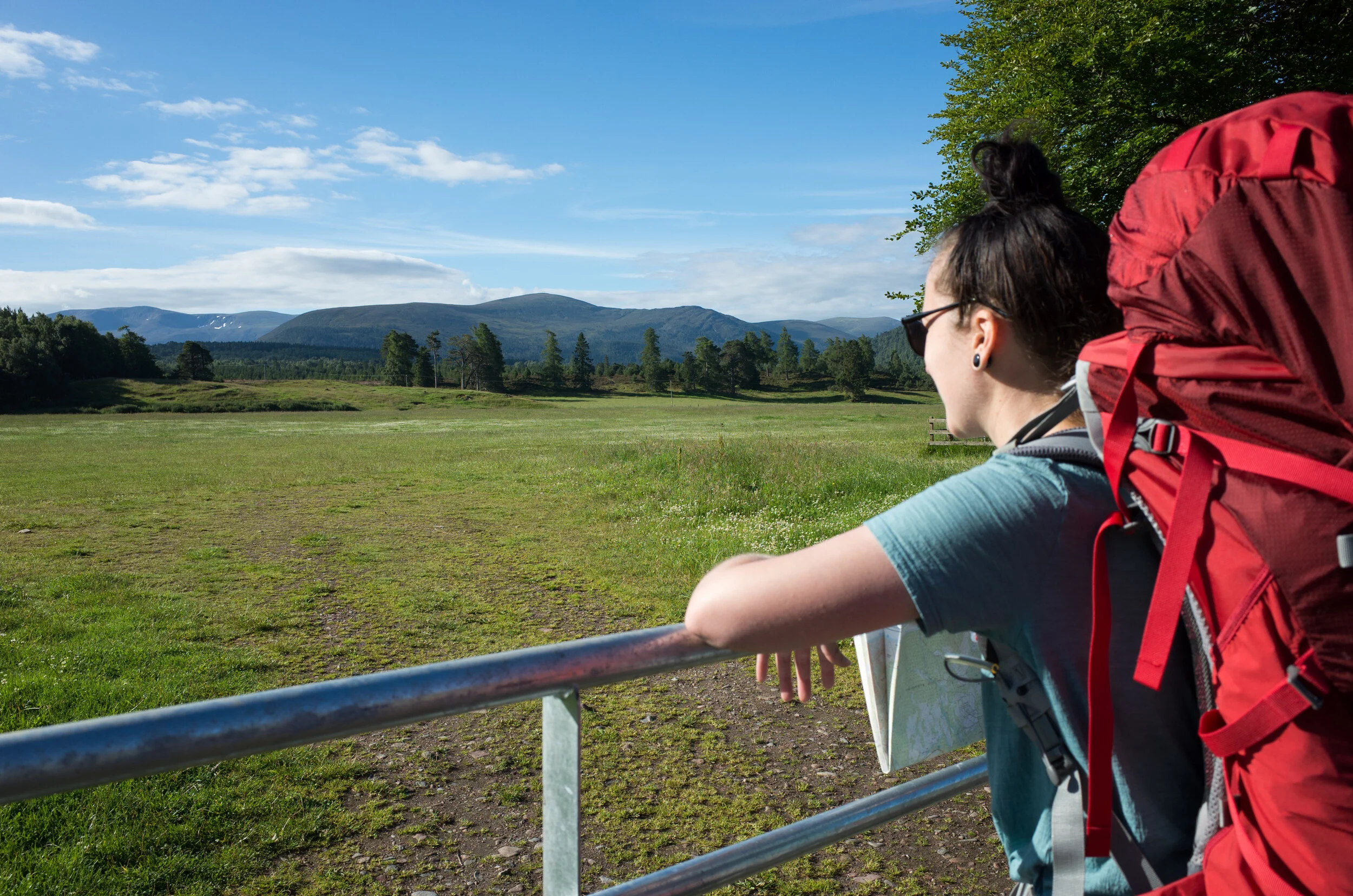 A week in the Cairngorms in photographs