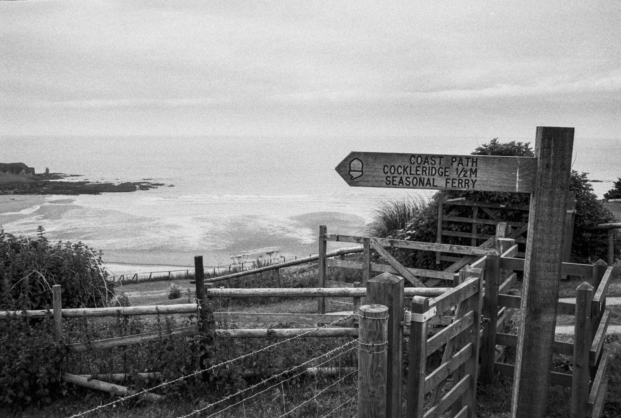 Longing for the seasonal ferry