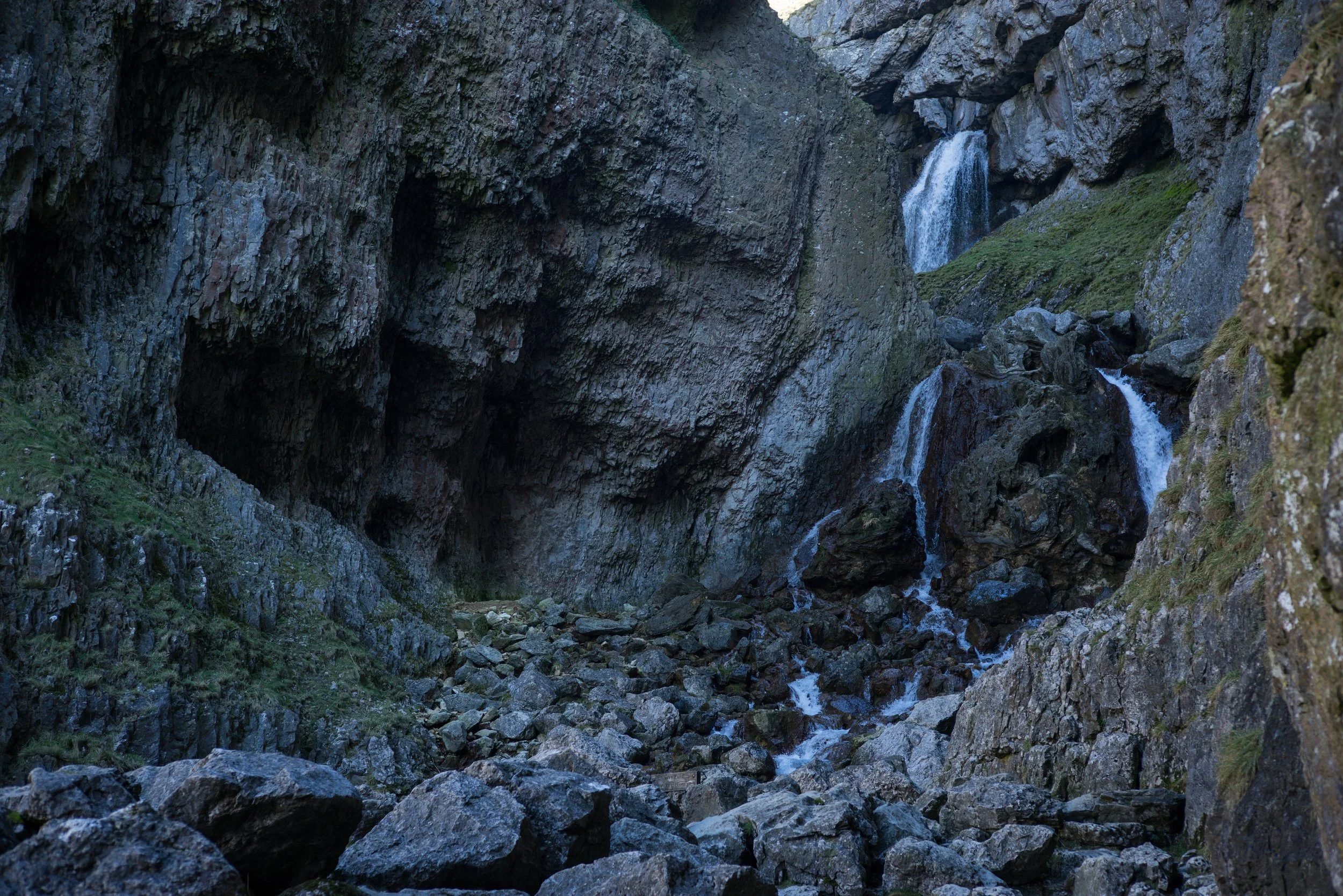 DSC09148.jpg