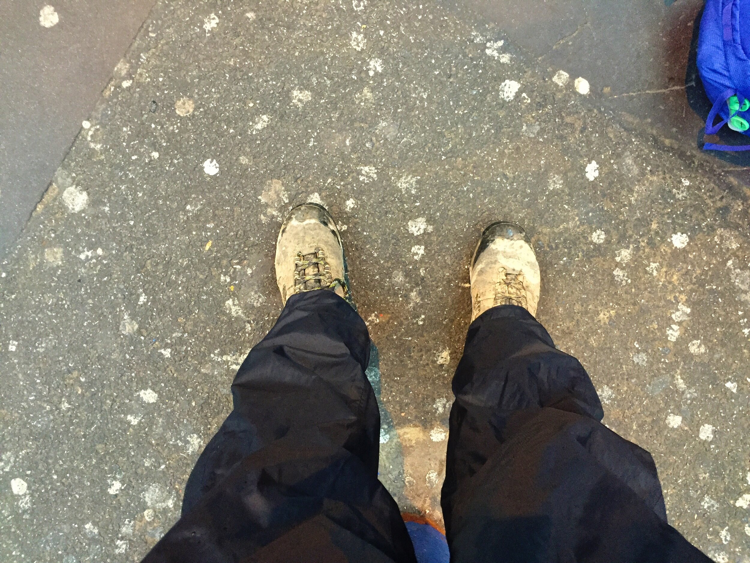 Holiday's - Day Sixteen