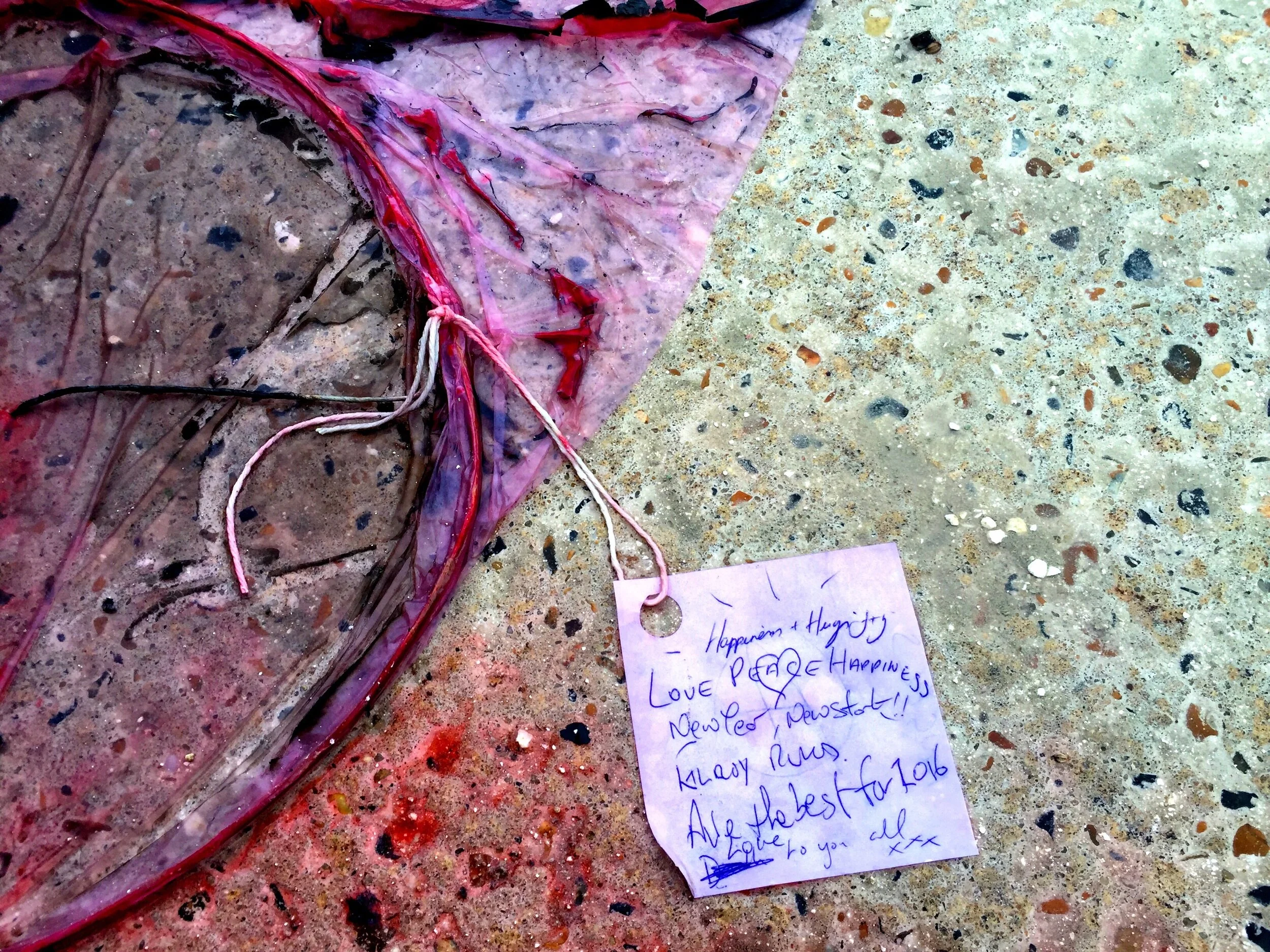 Holiday's - Day Fourteen