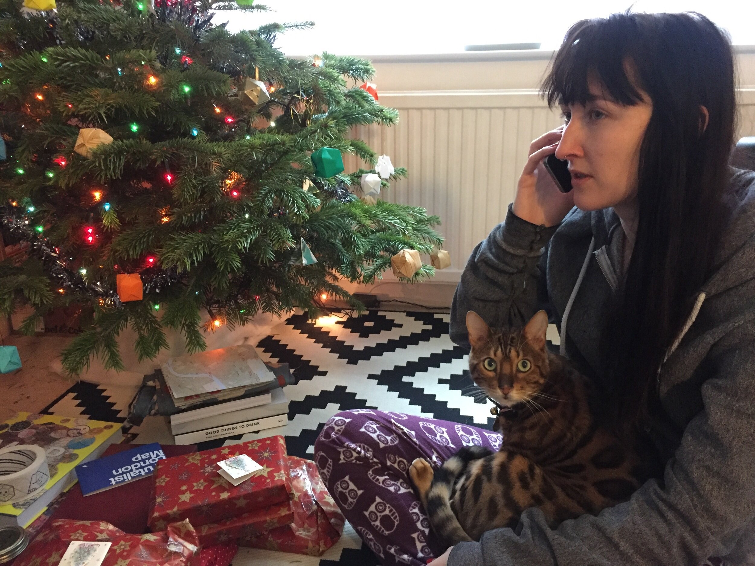 Holiday's - Day Seven