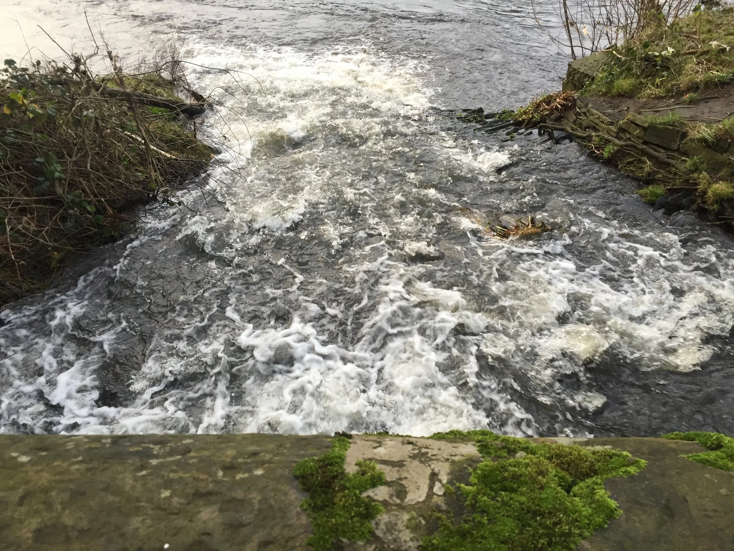 Holiday's - Day Four