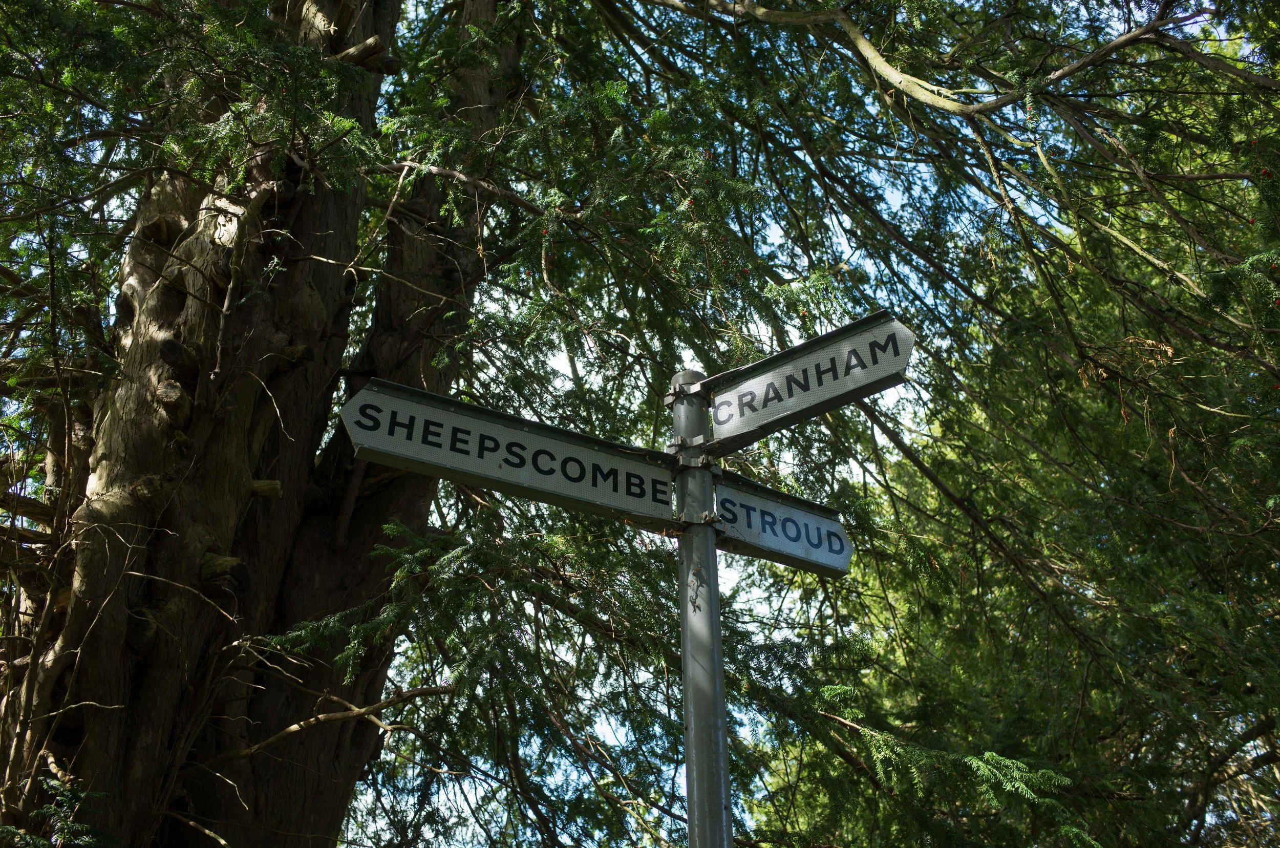 R0012855.jpg
