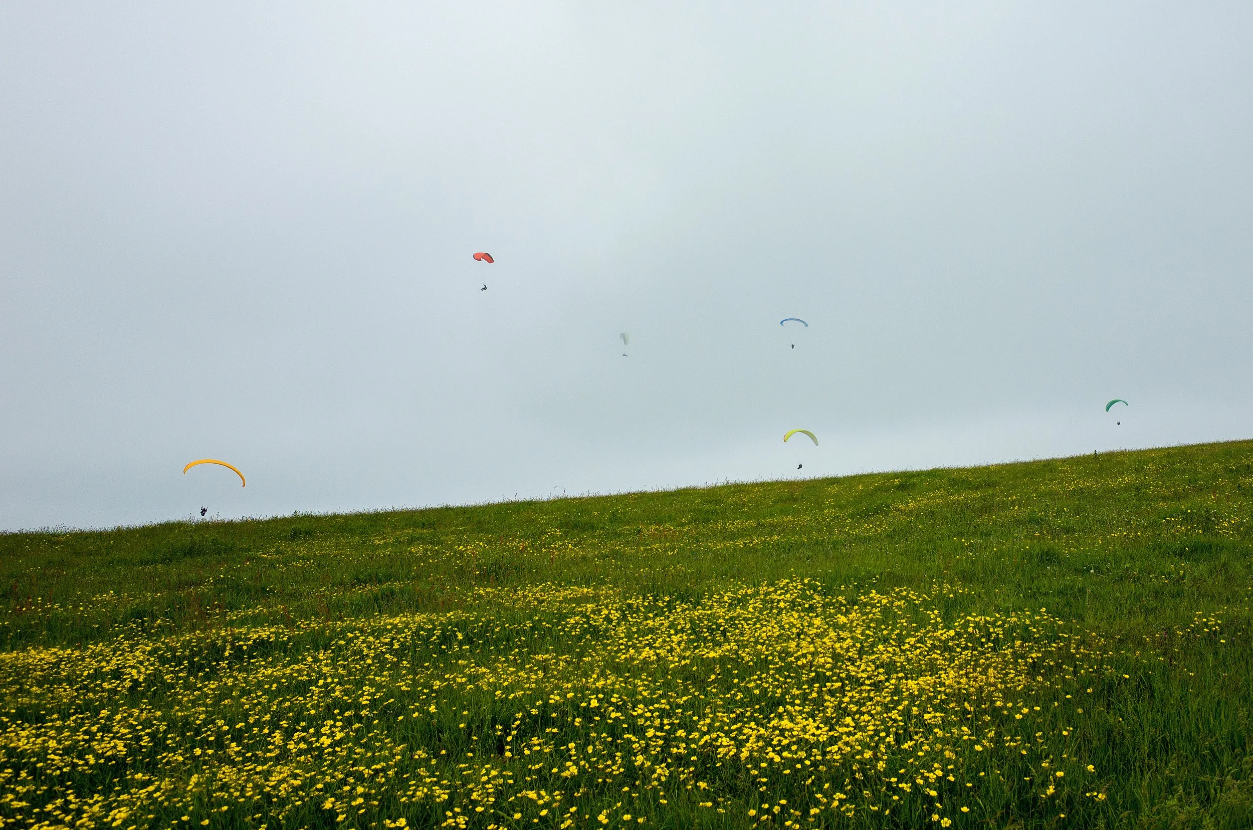 R0012686-Edit.jpg