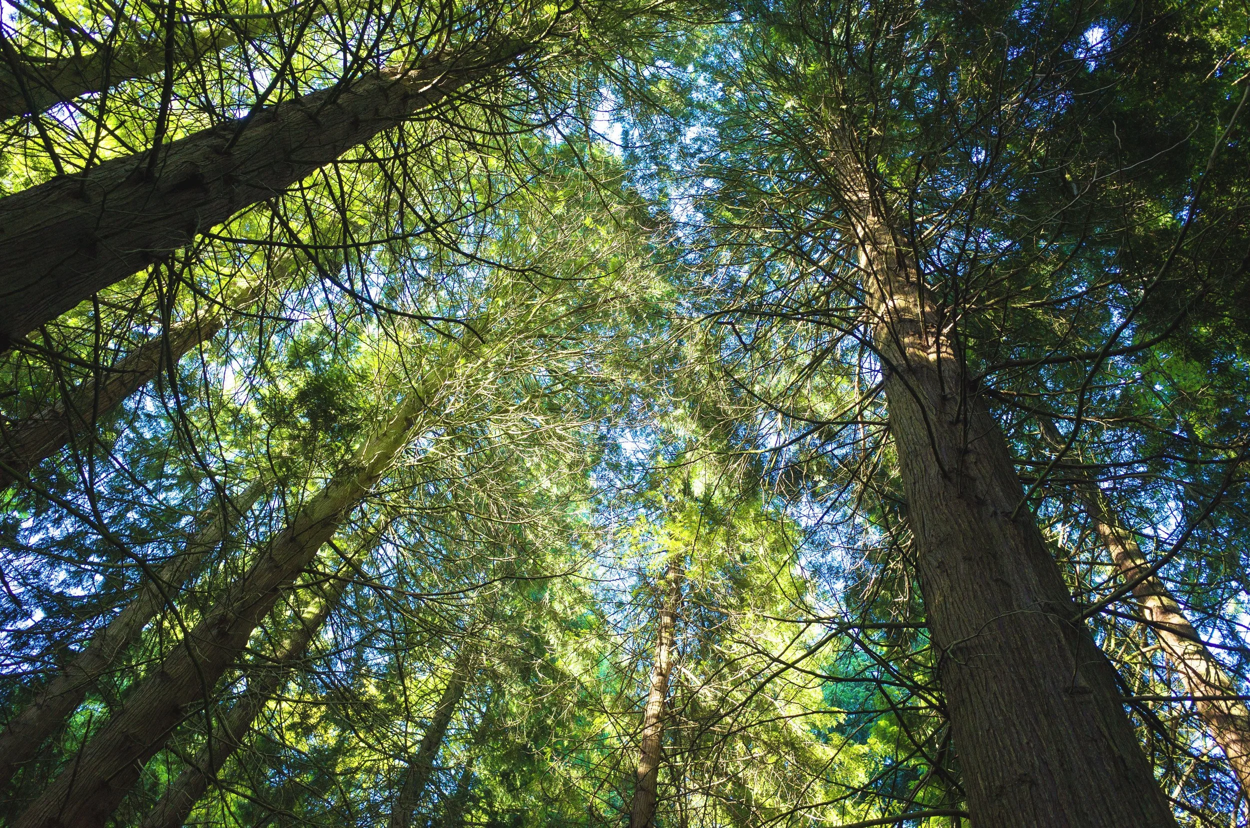 R0012635-Edit.jpg